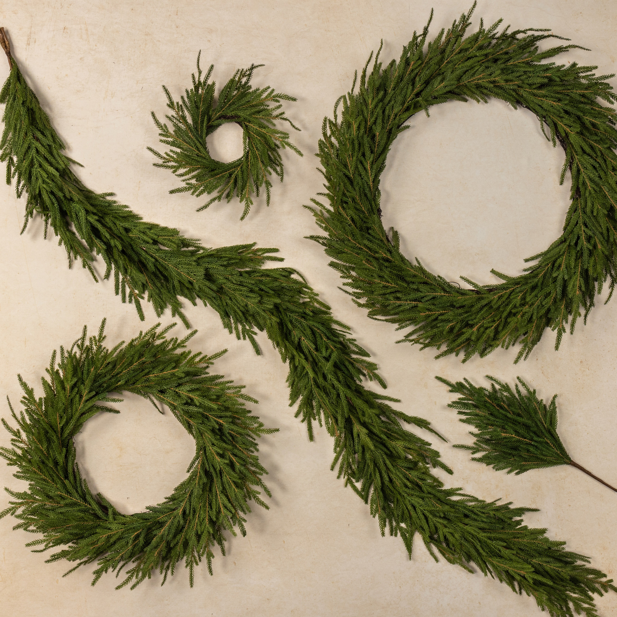 Soft Touch Norfolk Pine Wreath, 22", photo 3 of 3