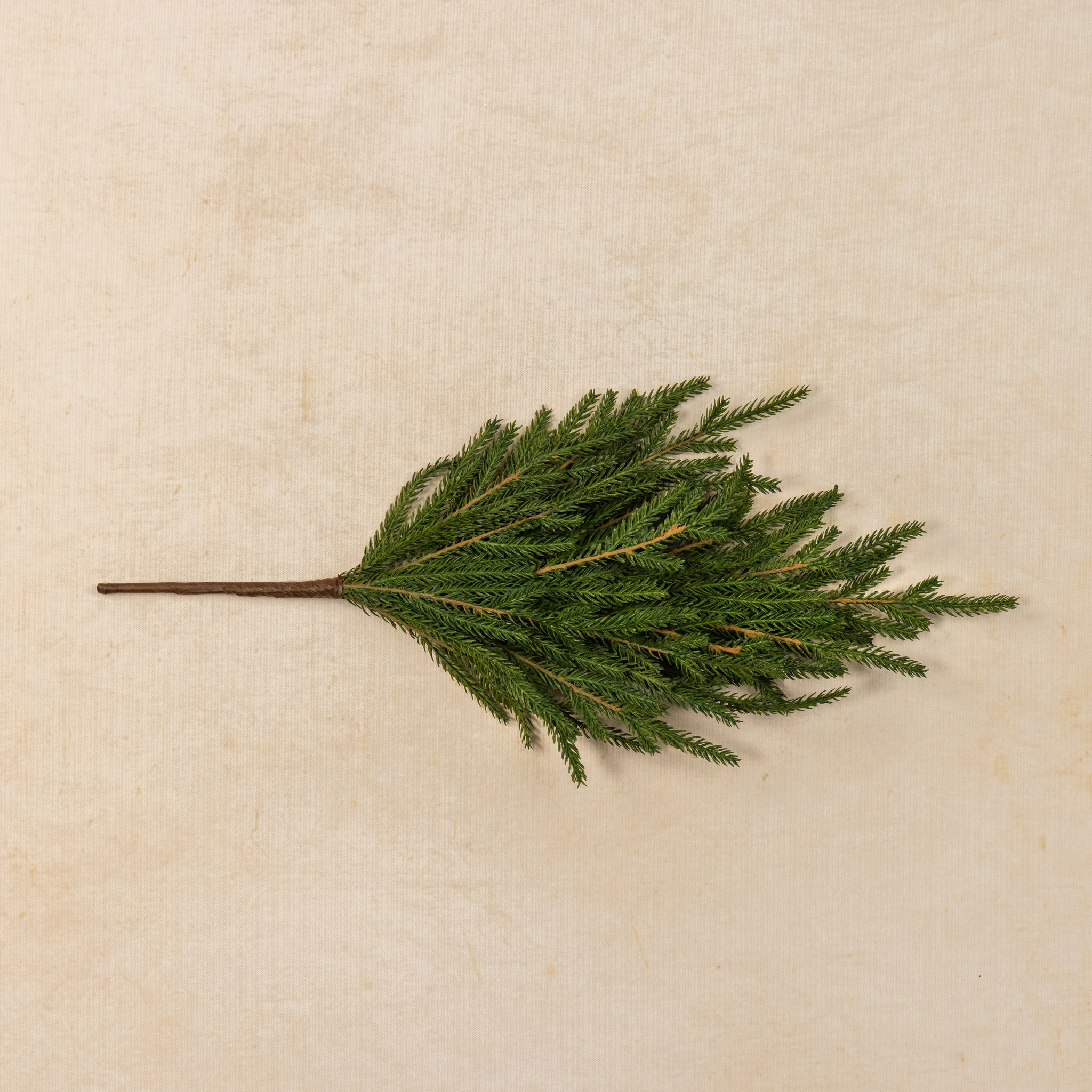 Soft Touch Norfolk Pine Pick, 18", photo 5 of 6