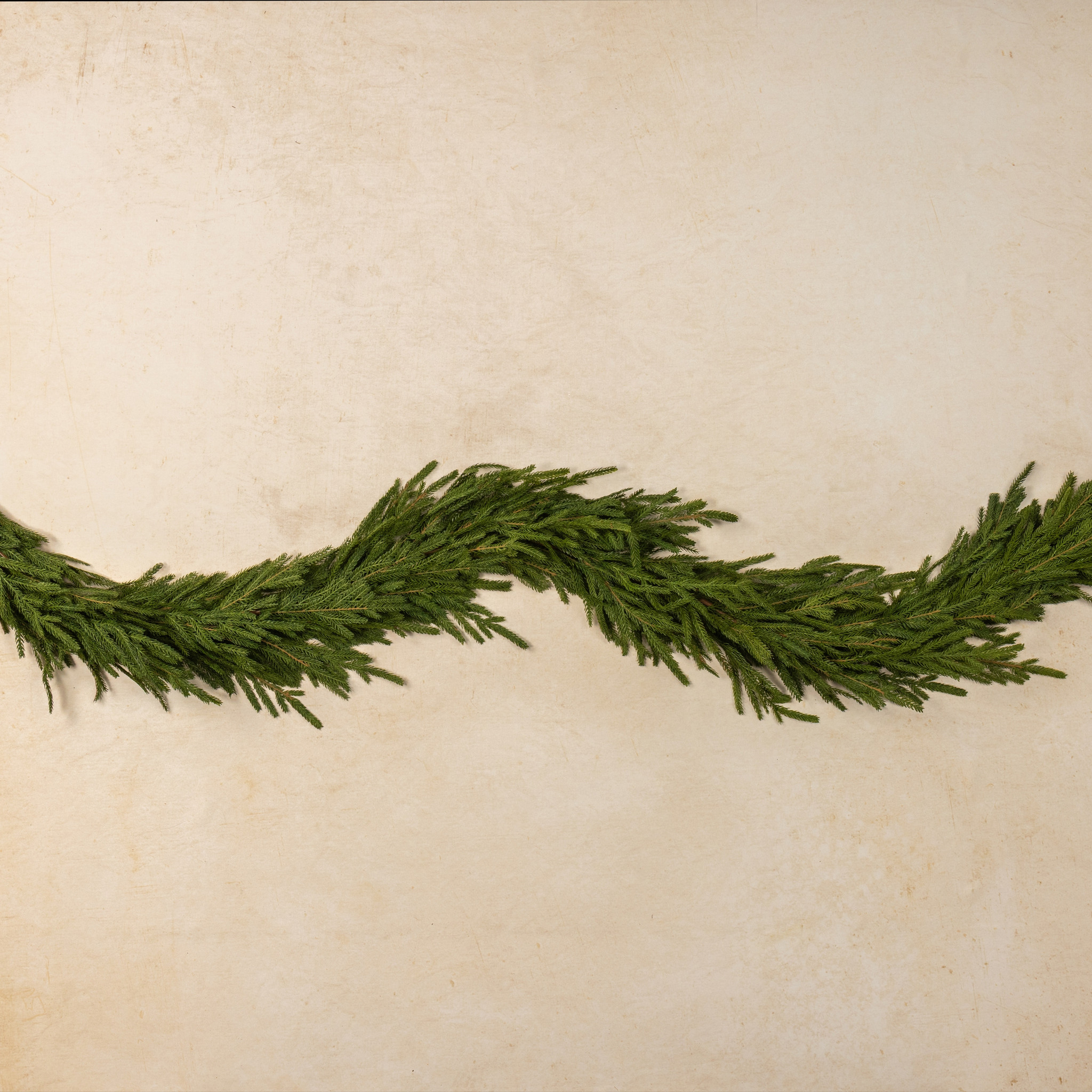 Soft Touch Norfolk Pine Garland, 6 ft, photo 2 of 3