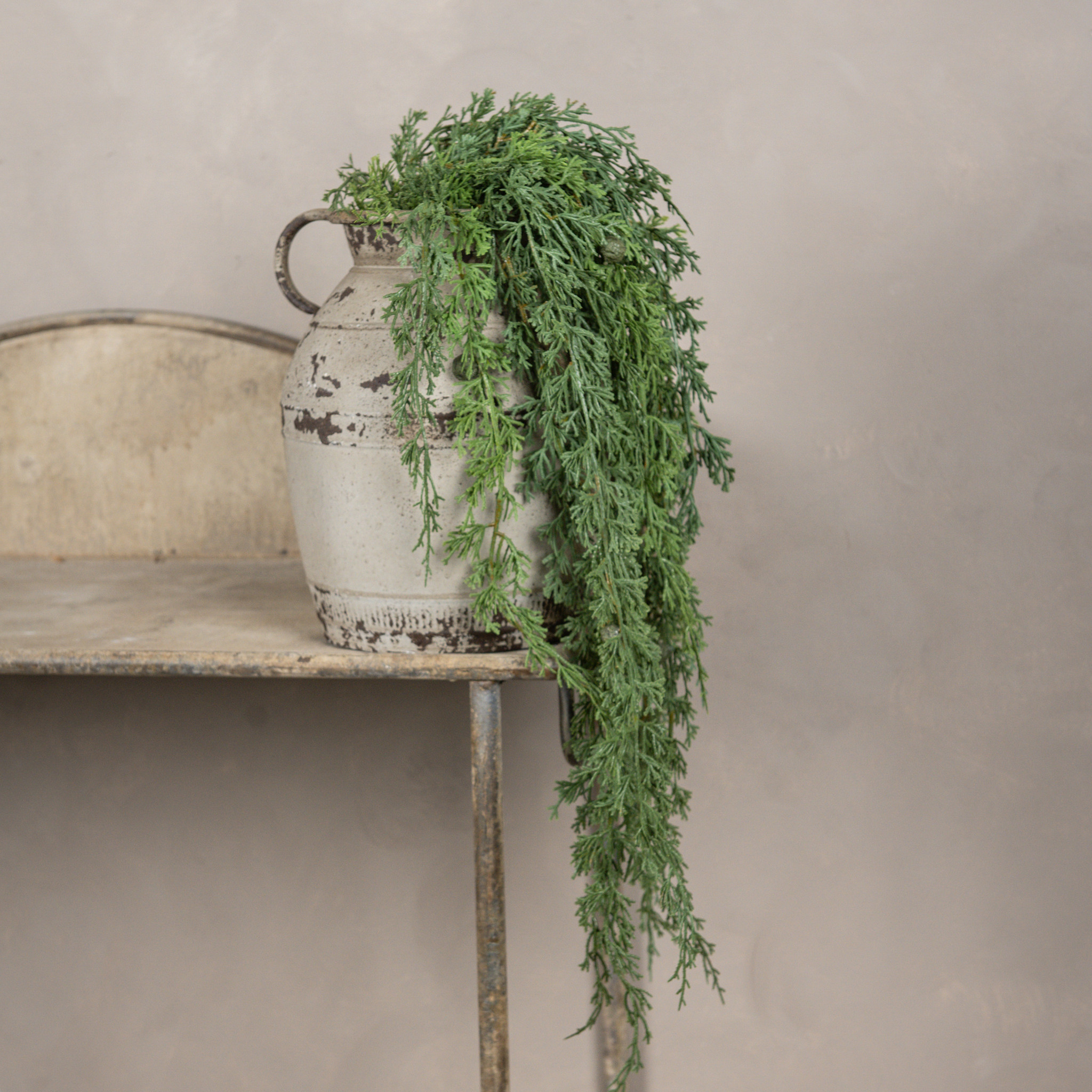 Soft Touch Weeping Cedar Hanging Bush, 30", photo 2 of 4