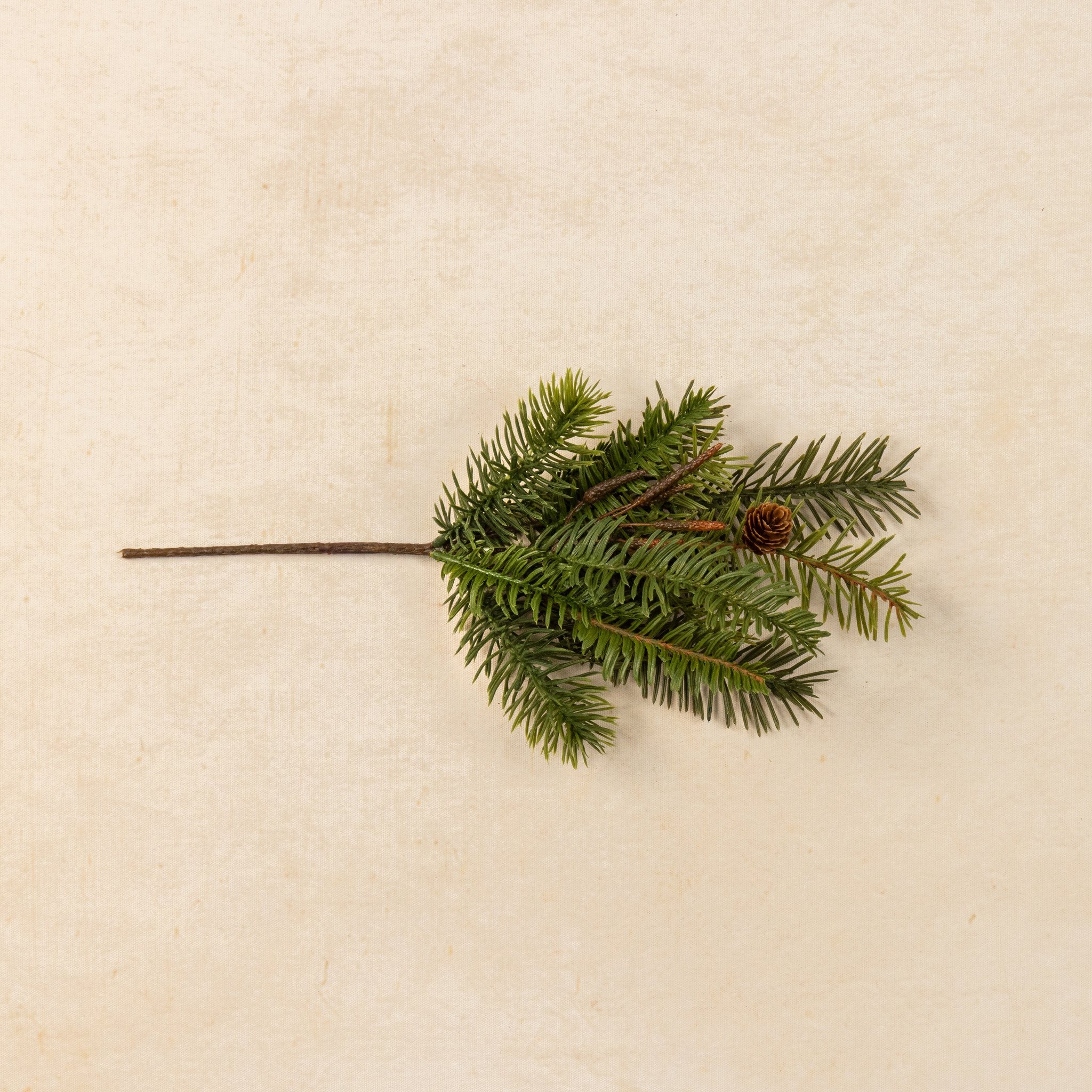 Hemlock & Douglas Fir with Mini Pinecone Pick, 13.5", photo 3 of 4