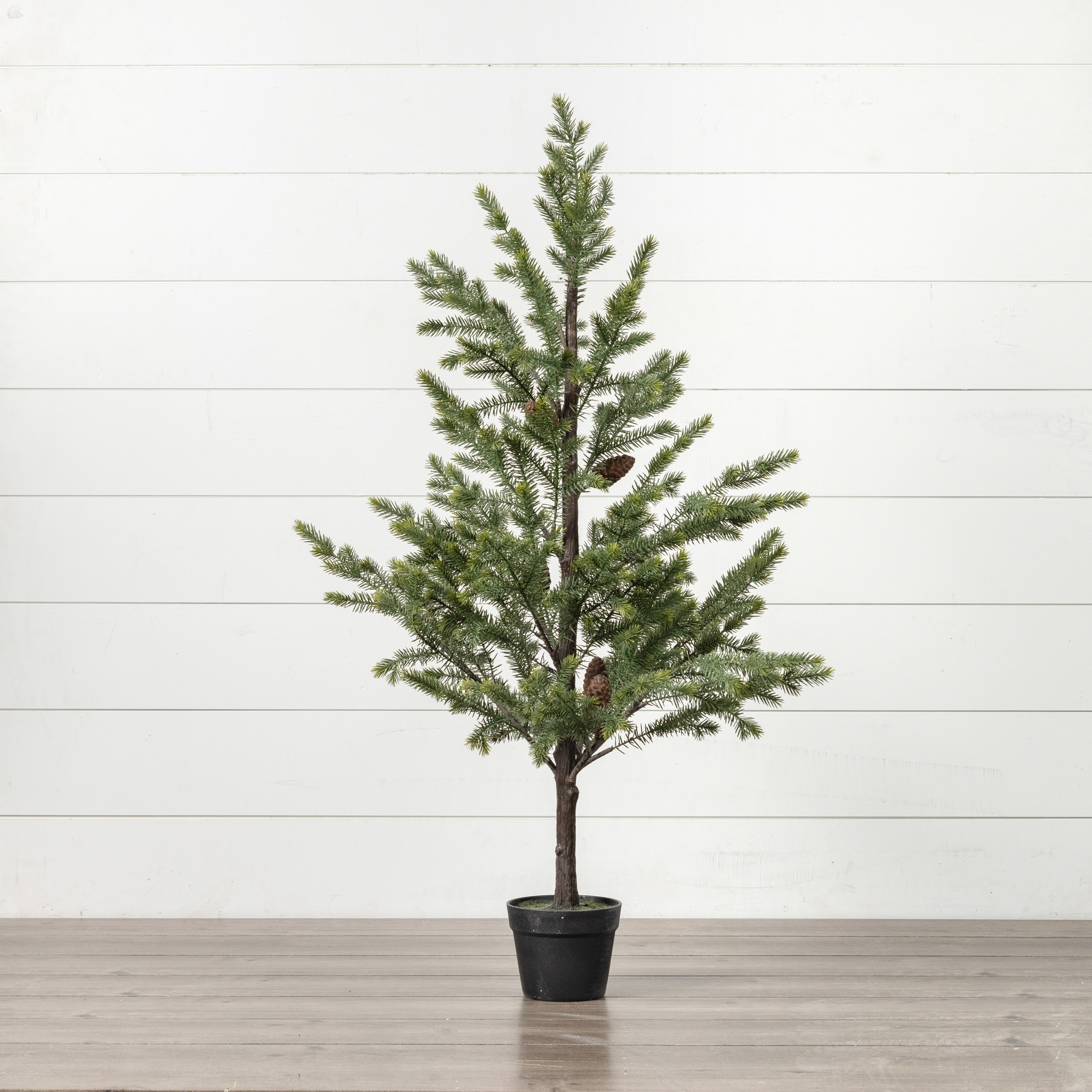 Copley Pine Tree in Pot, 48", photo 2 of 3