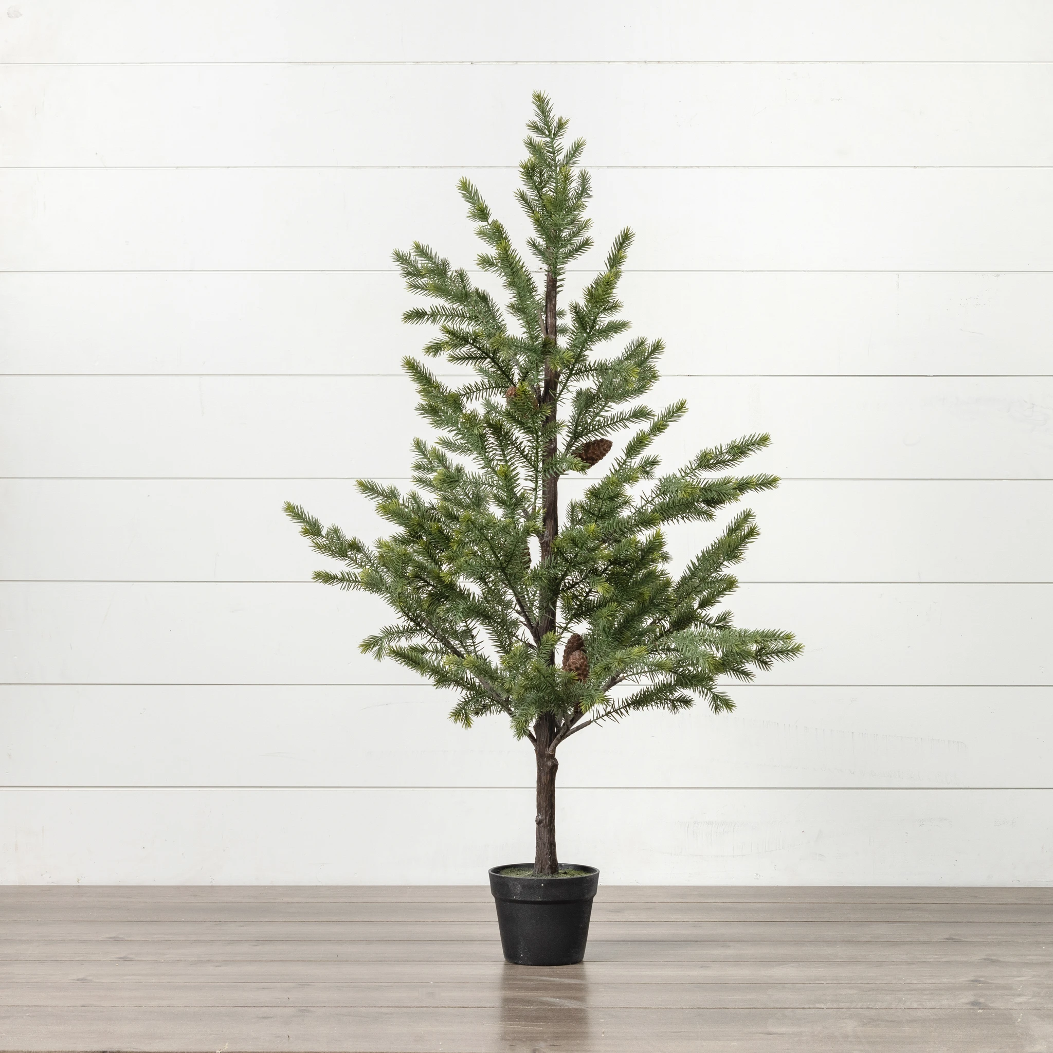 Copley Pine Tree in Pot, 48", photo 2 of 3