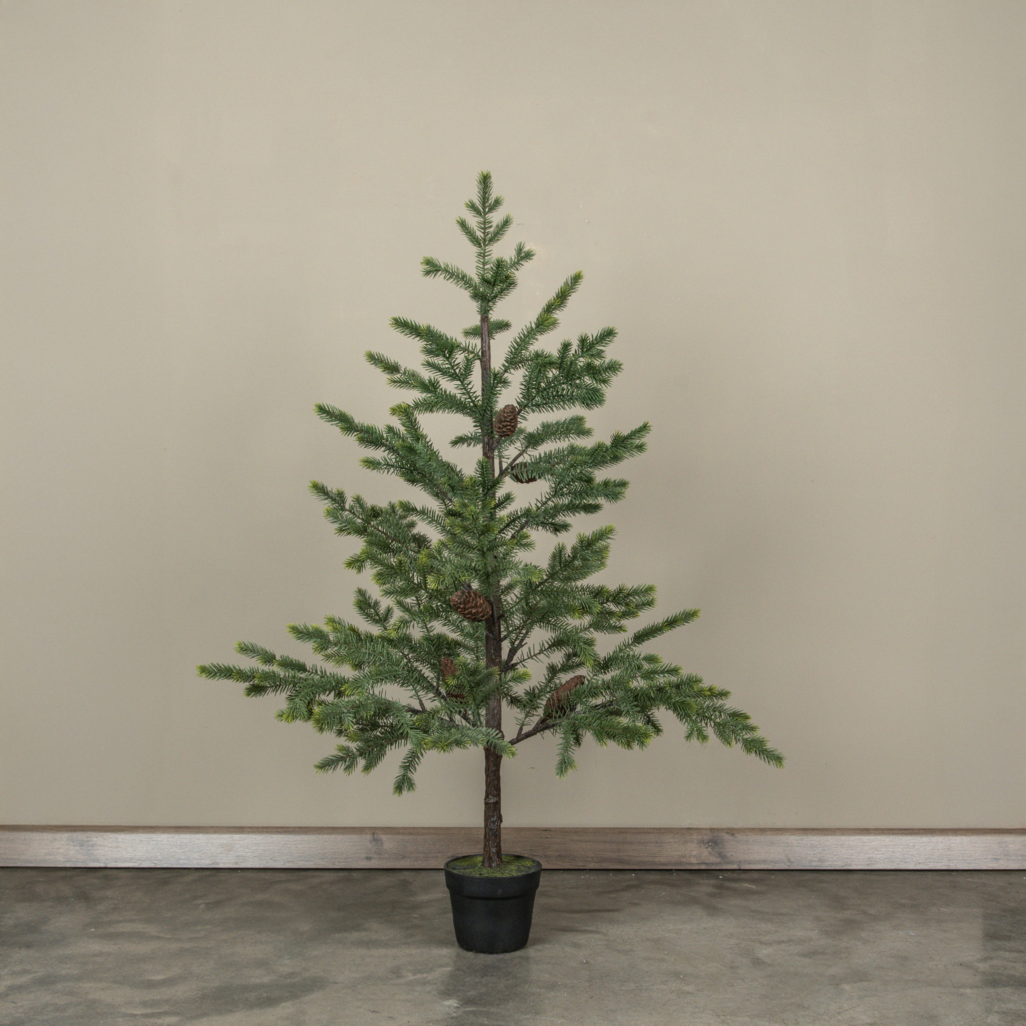 Copley Pine Tree in Pot, 48", photo 3 of 3