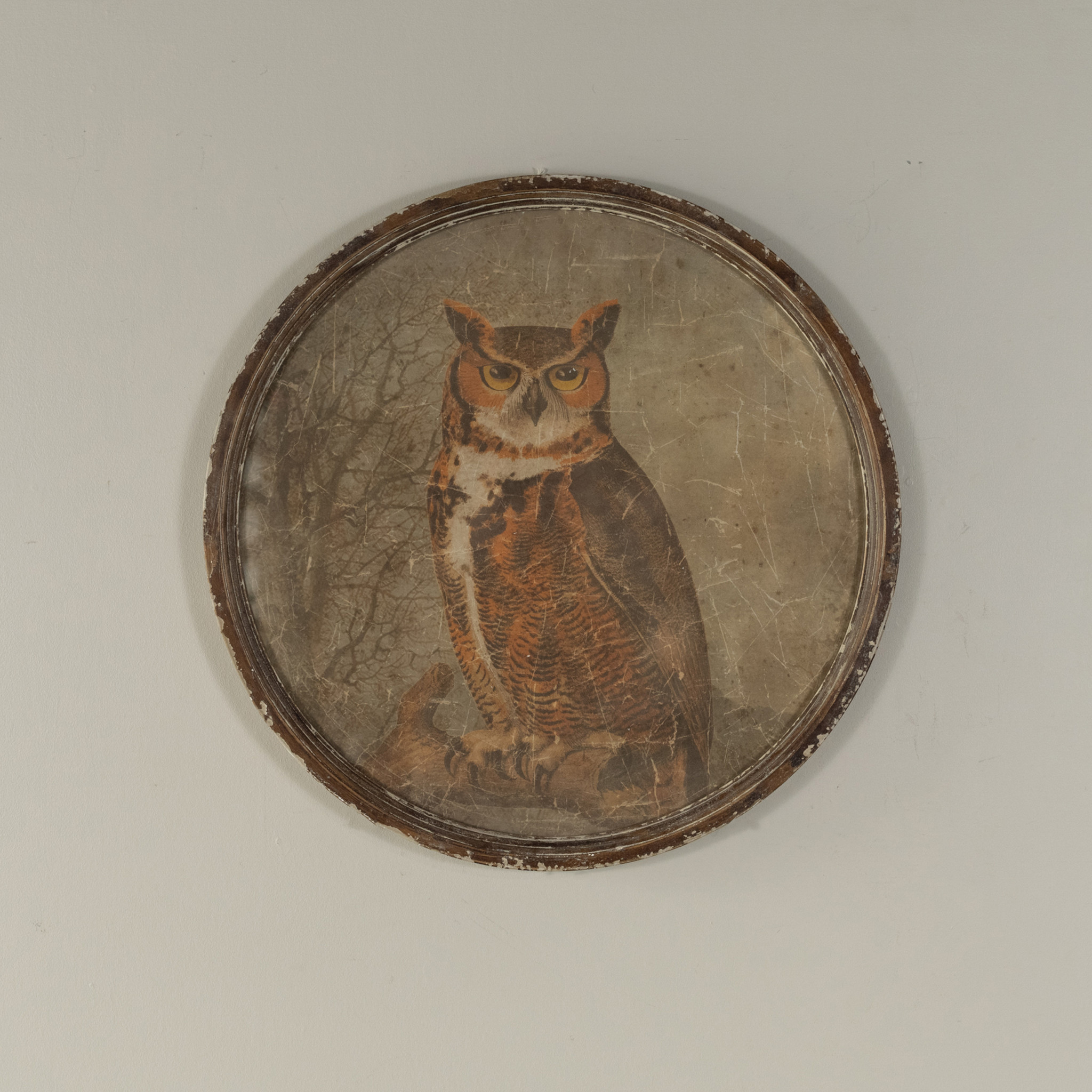 Round Framed Great Horned Owl Print