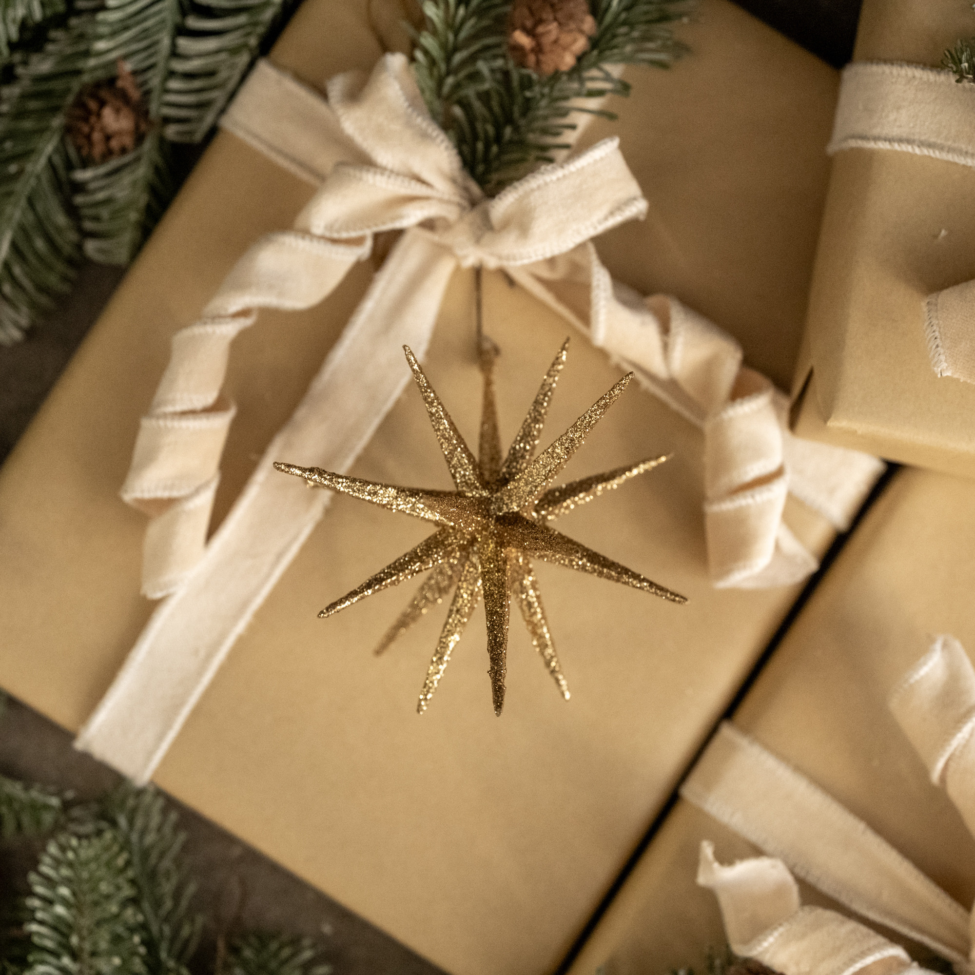 Gold Pointed Star Ornament, 6"