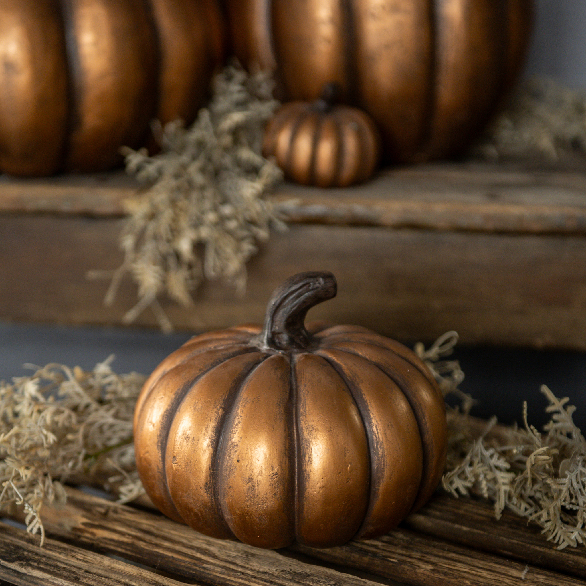 Gold Short Pumpkin, 5.5", photo 2 of 3