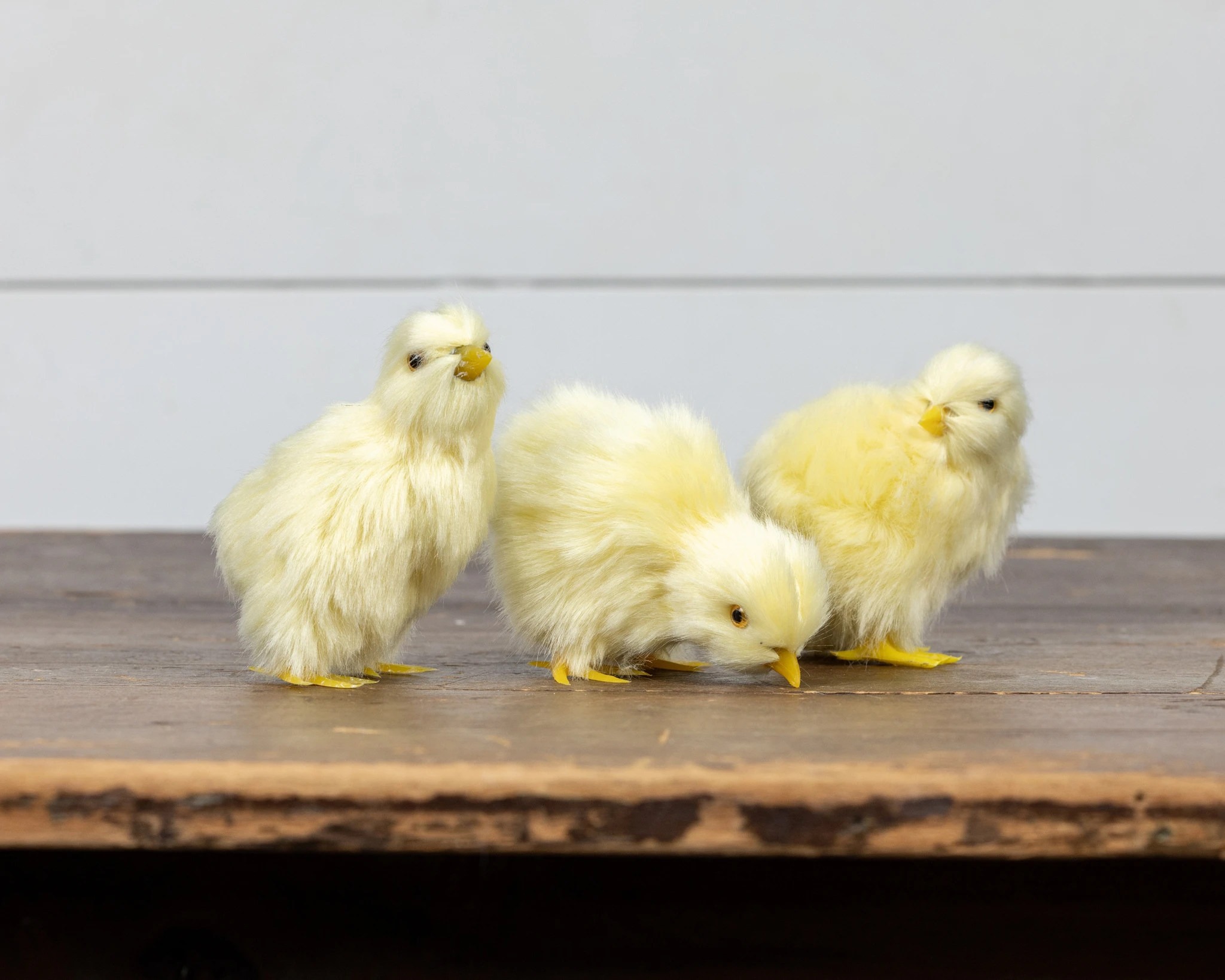Yellow Chick, 4.25", photo 4 of 4