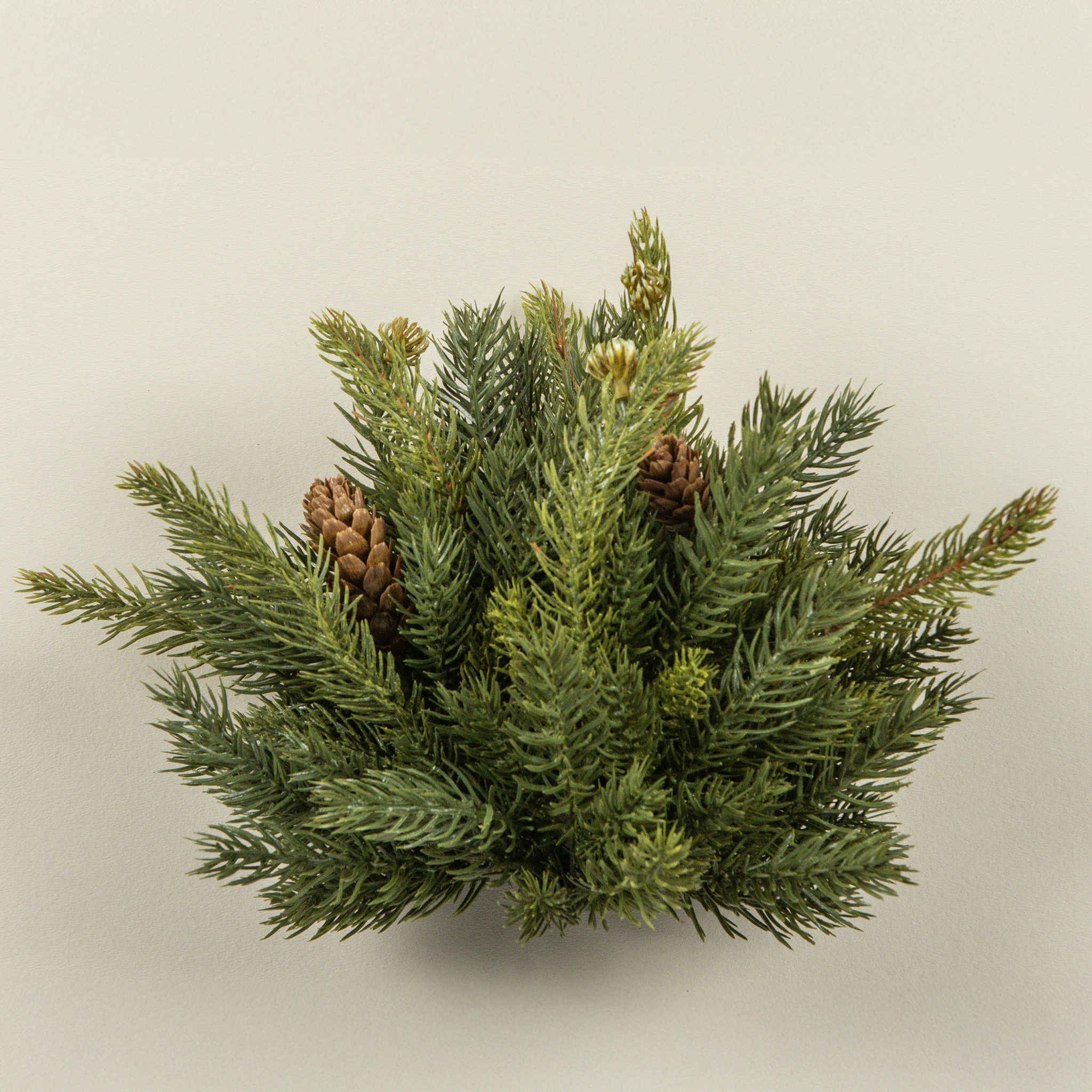 White Spruce Half Ball with Mini Pinecones, 9"