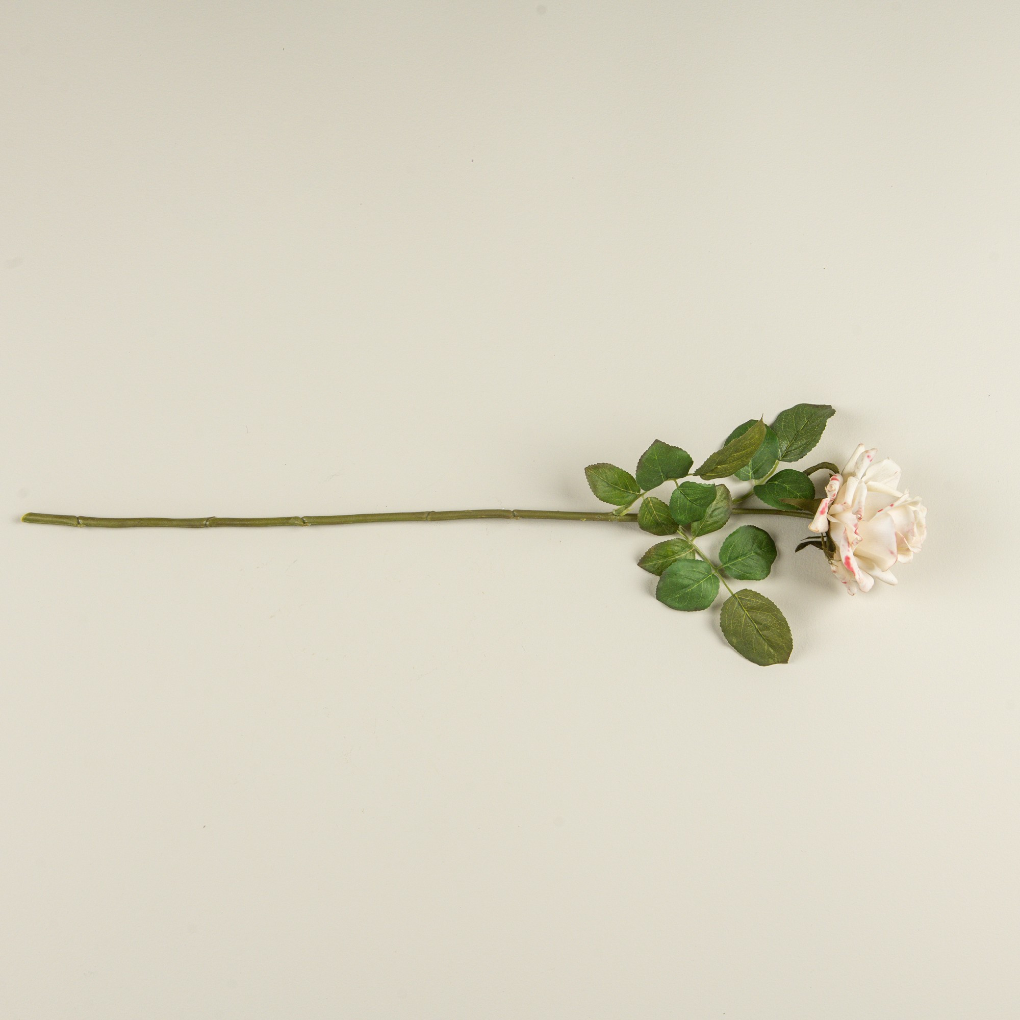Soft Touch Cream Rose Stem, 25.5", photo 4 of 4