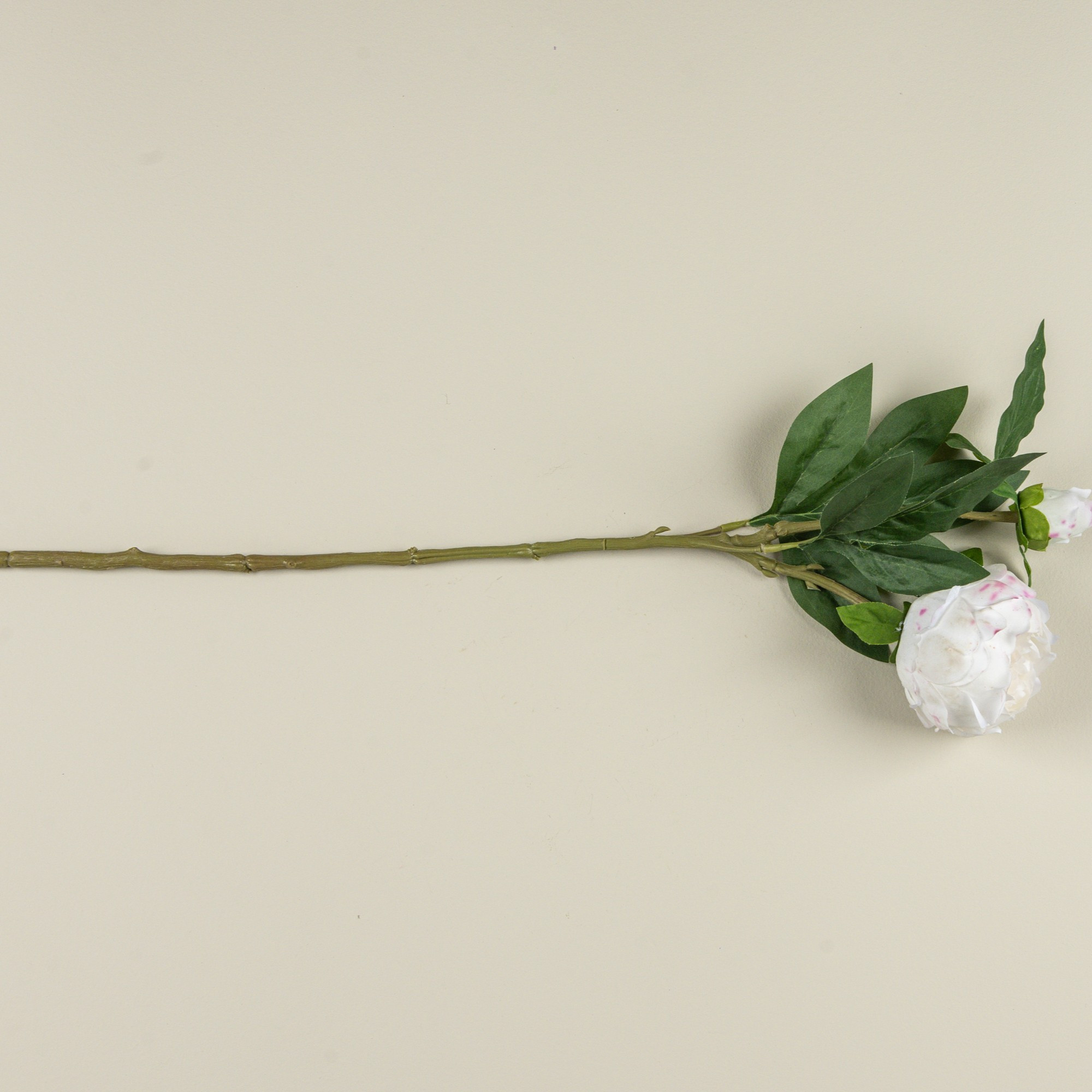 Soft Touch White Peony Stem, 24", photo 4 of 4