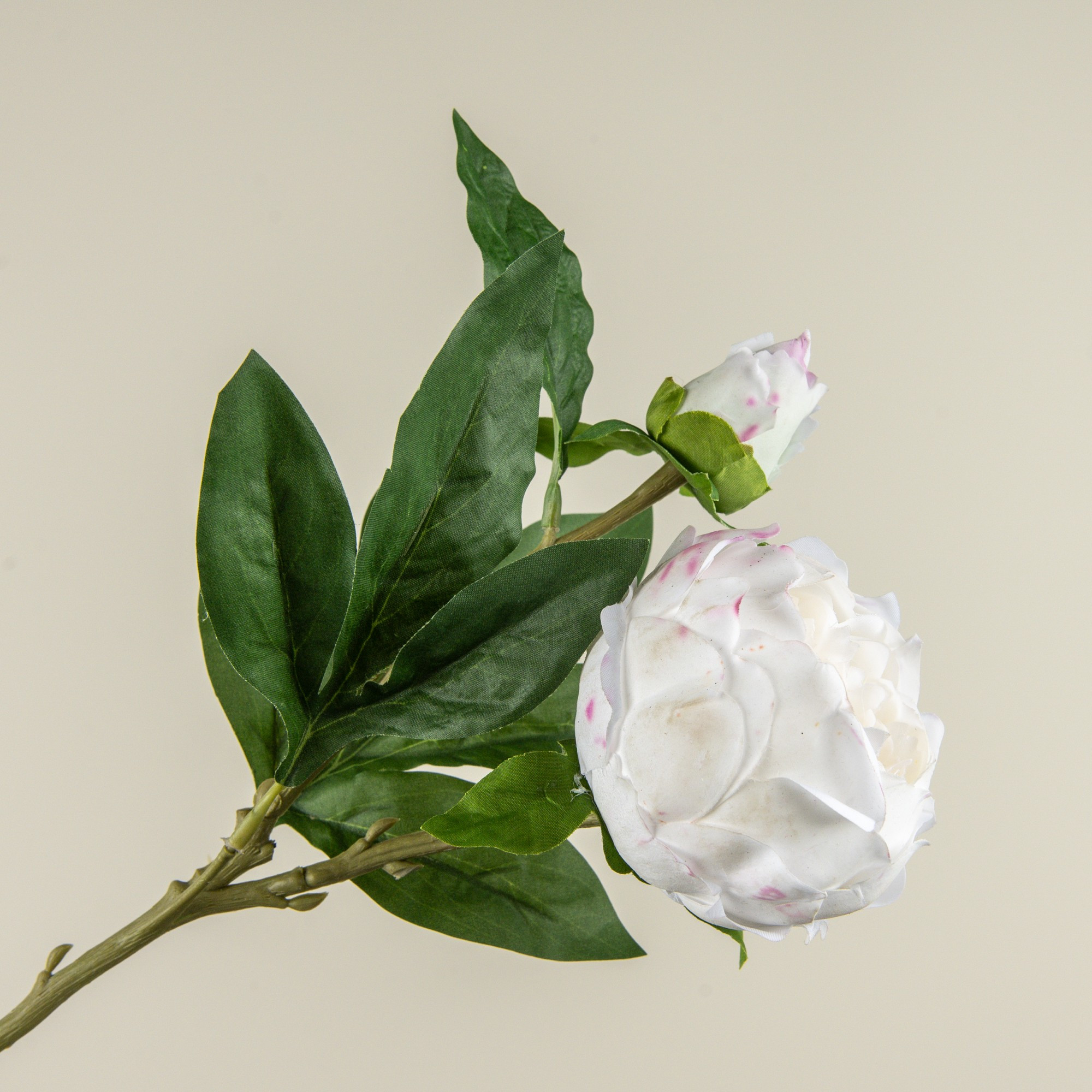 Soft Touch White Peony Stem, 24", photo 2 of 4