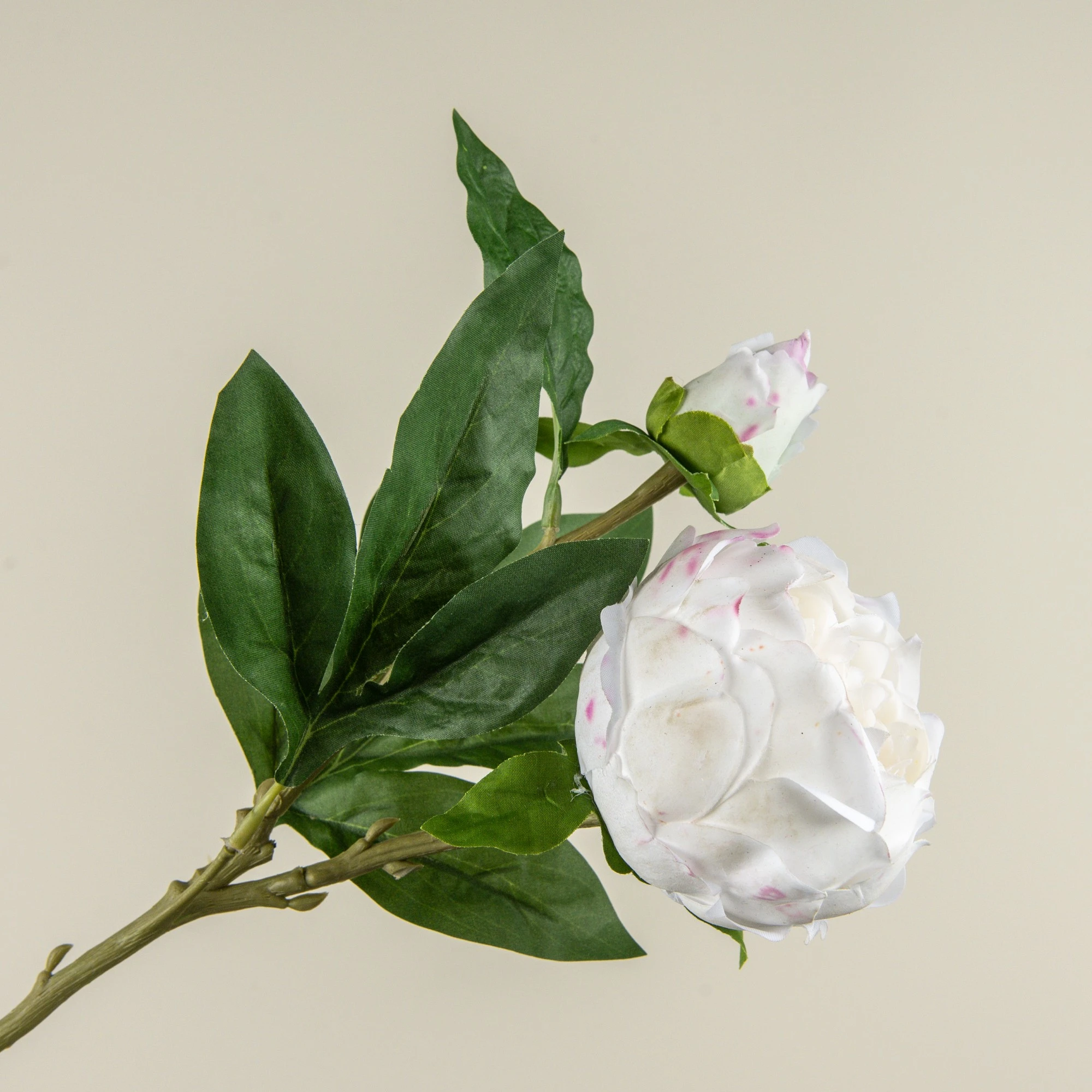Soft Touch White Peony Stem, 24", photo 2 of 4