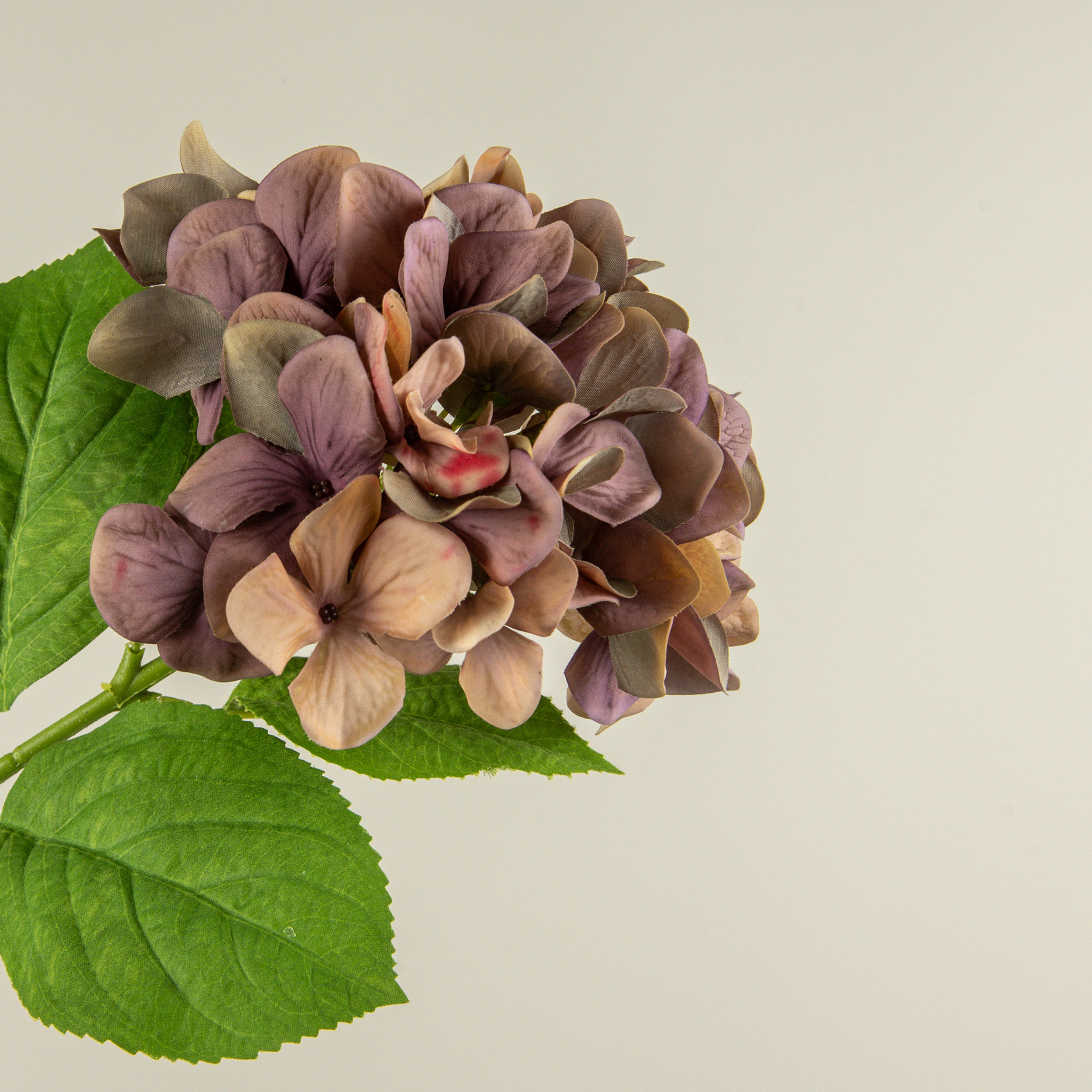 Soft Touch Mixed Purple Hydrangea Stem, 19", photo 2 of 4