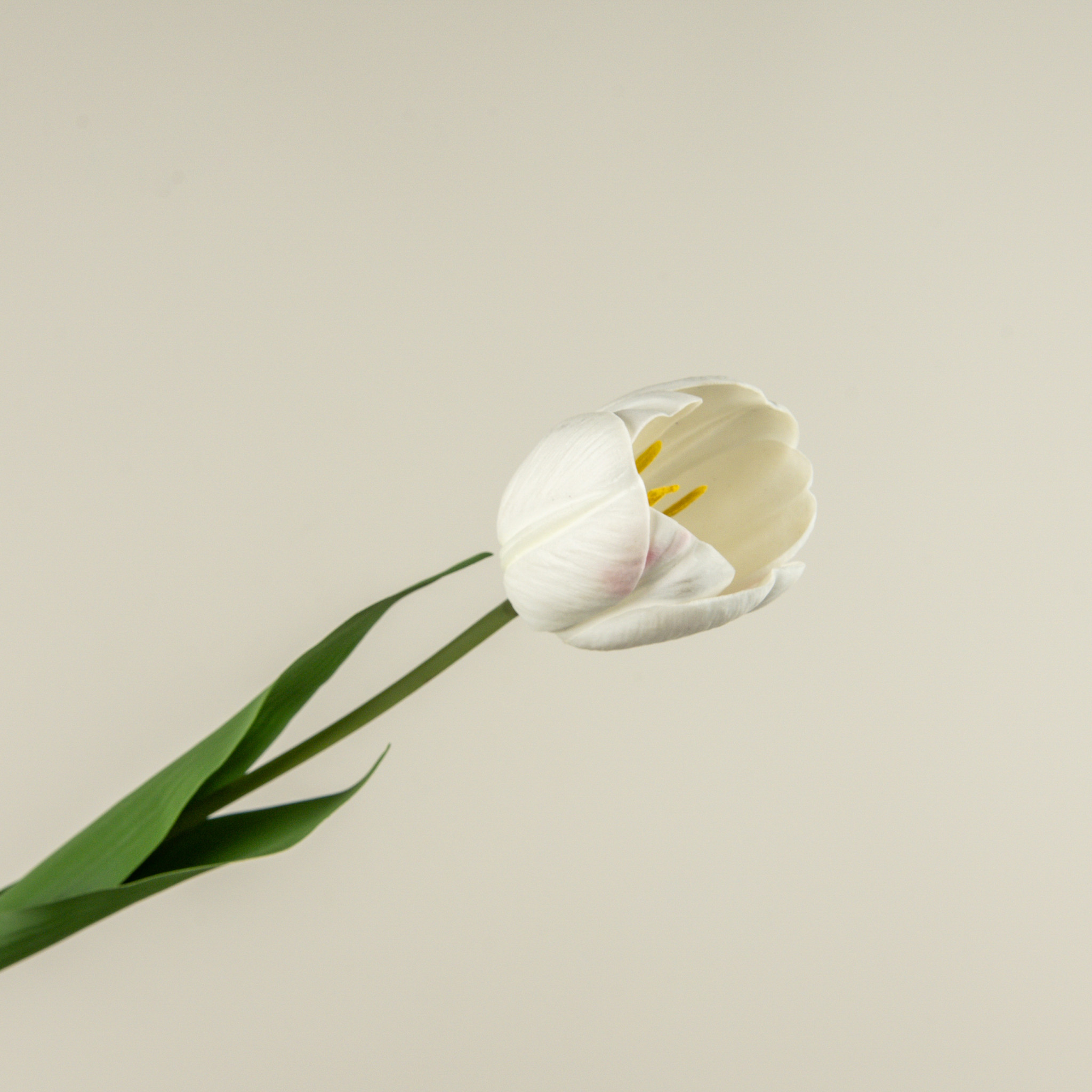 Soft Touch White Tulip Stem, 21.5", photo 3 of 4