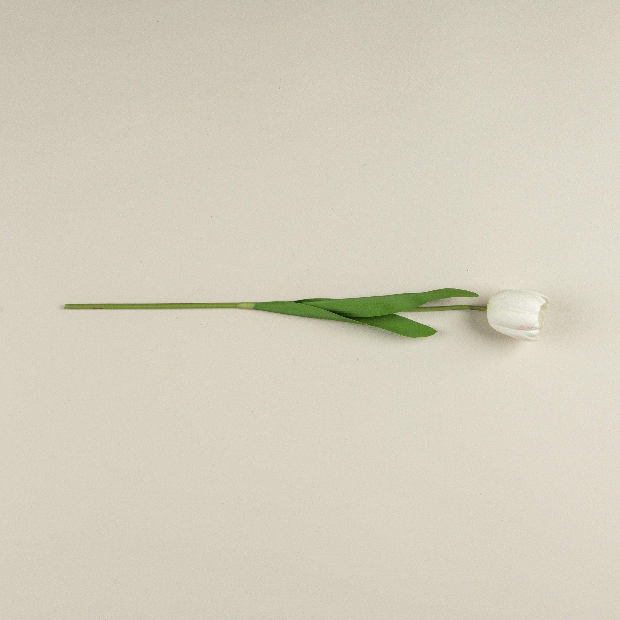 Soft Touch White Tulip Stem, 21.5", photo 4 of 4