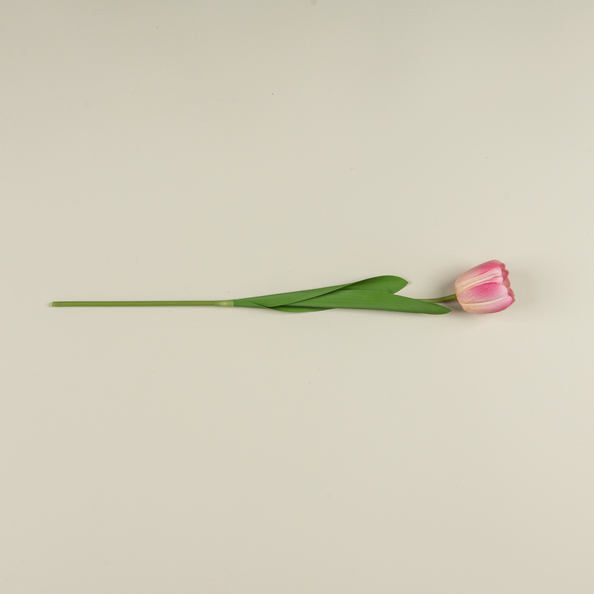 Soft Touch Pink Tulip Stem, 21.5", photo 4 of 4