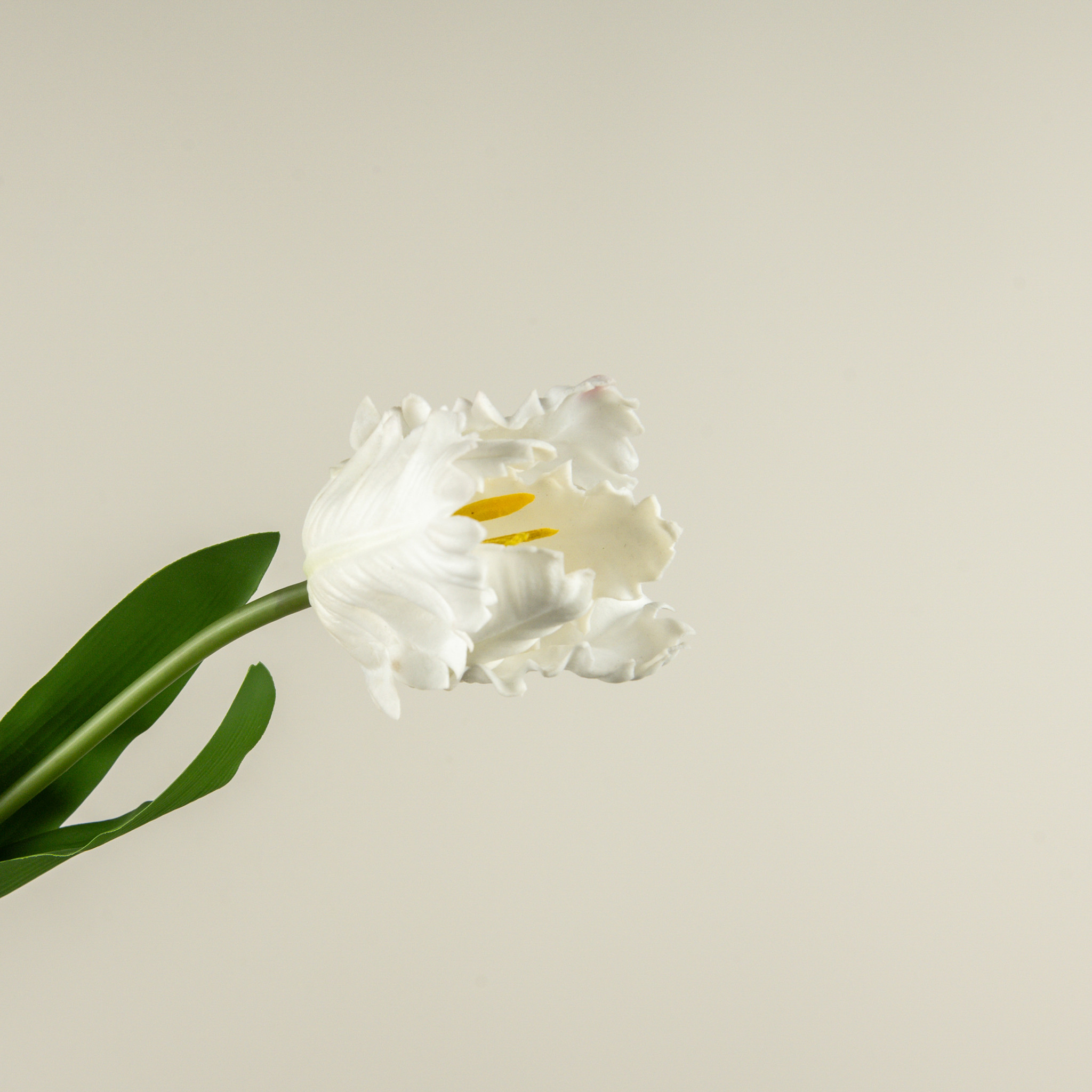 Soft Touch White Parrot Tulip Stem, 22.5", photo 3 of 4