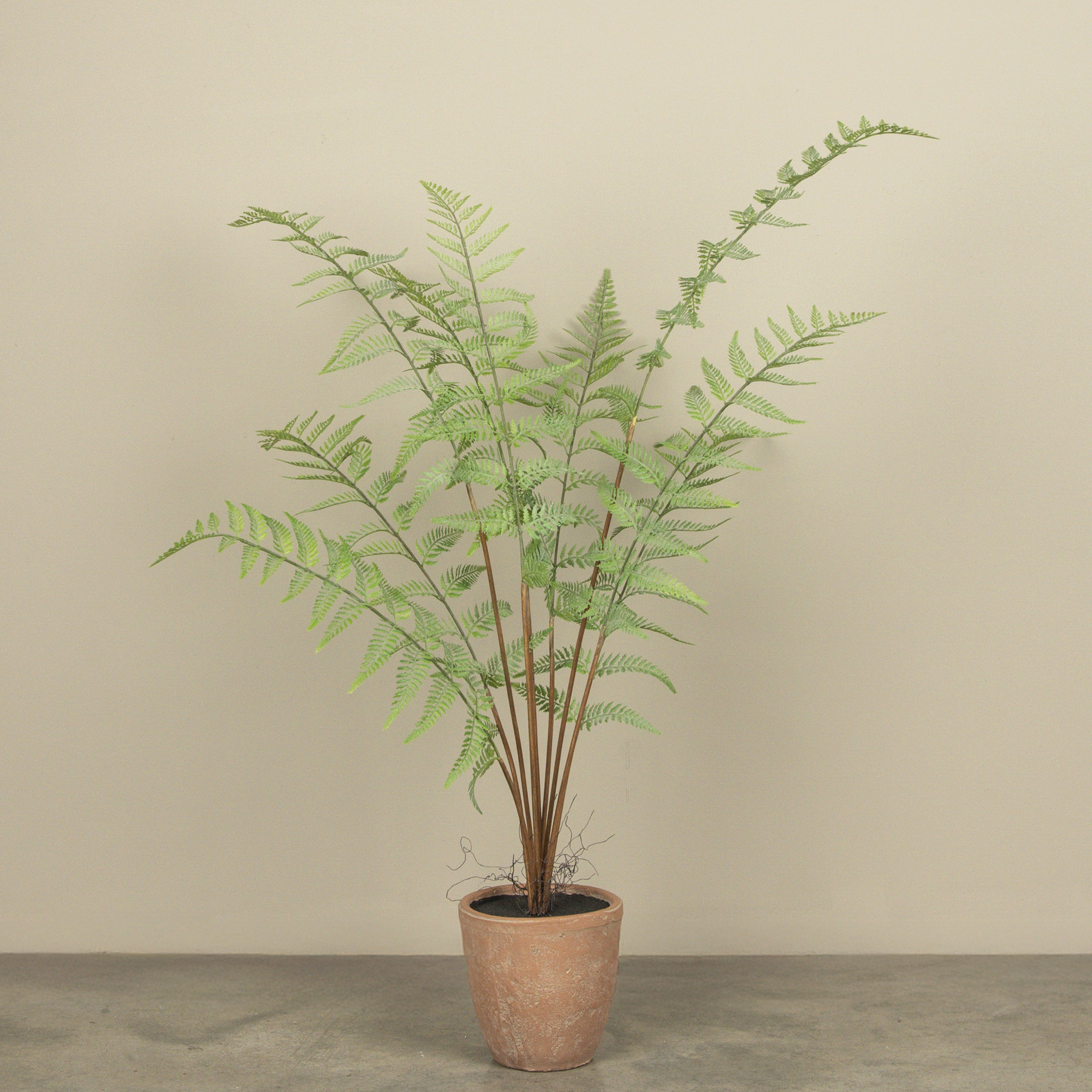 Potted Fern, 3.5 ft