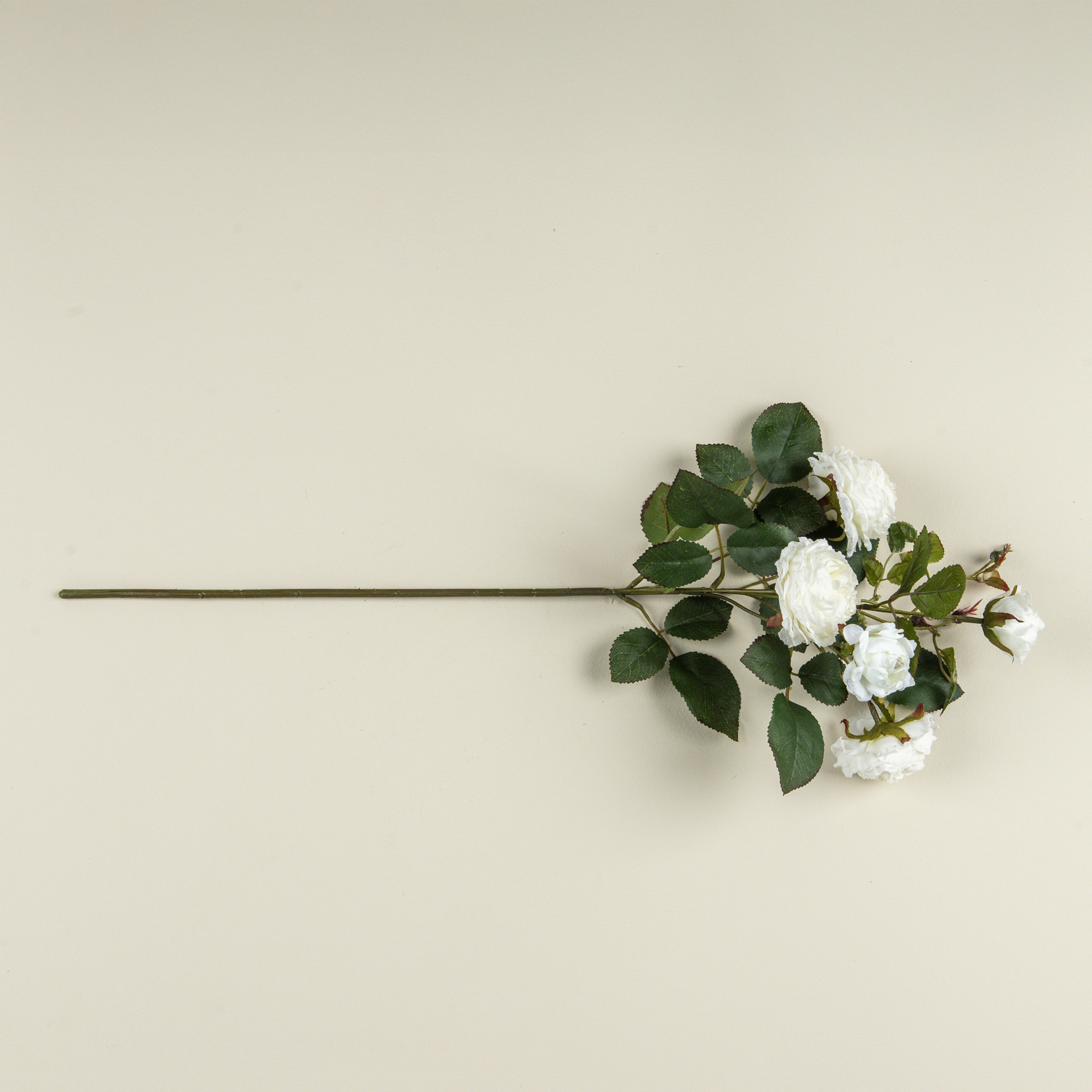 Cream Cabbage Rose Spray, 26", photo 4 of 4