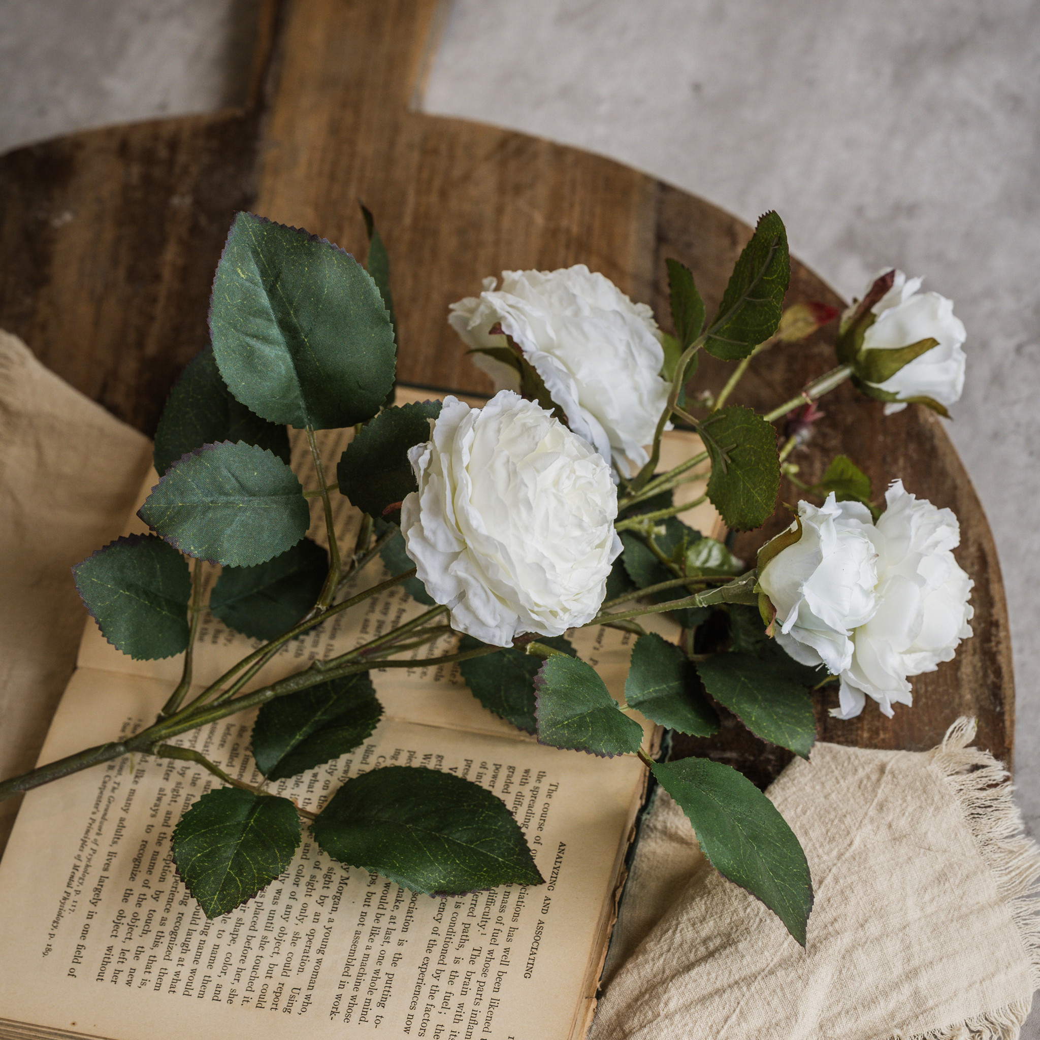 Cream Cabbage Rose Spray, 26"
