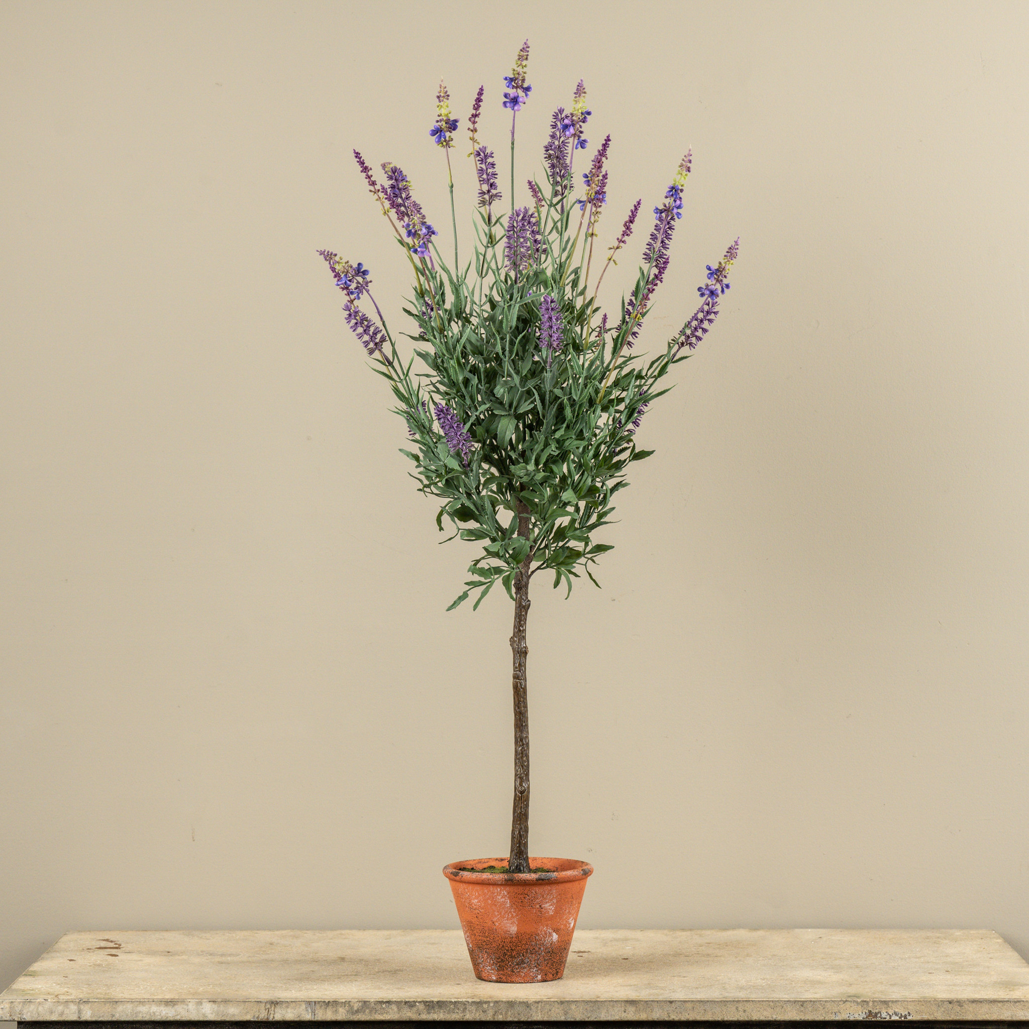 Potted Lavender Tree, 3 ft