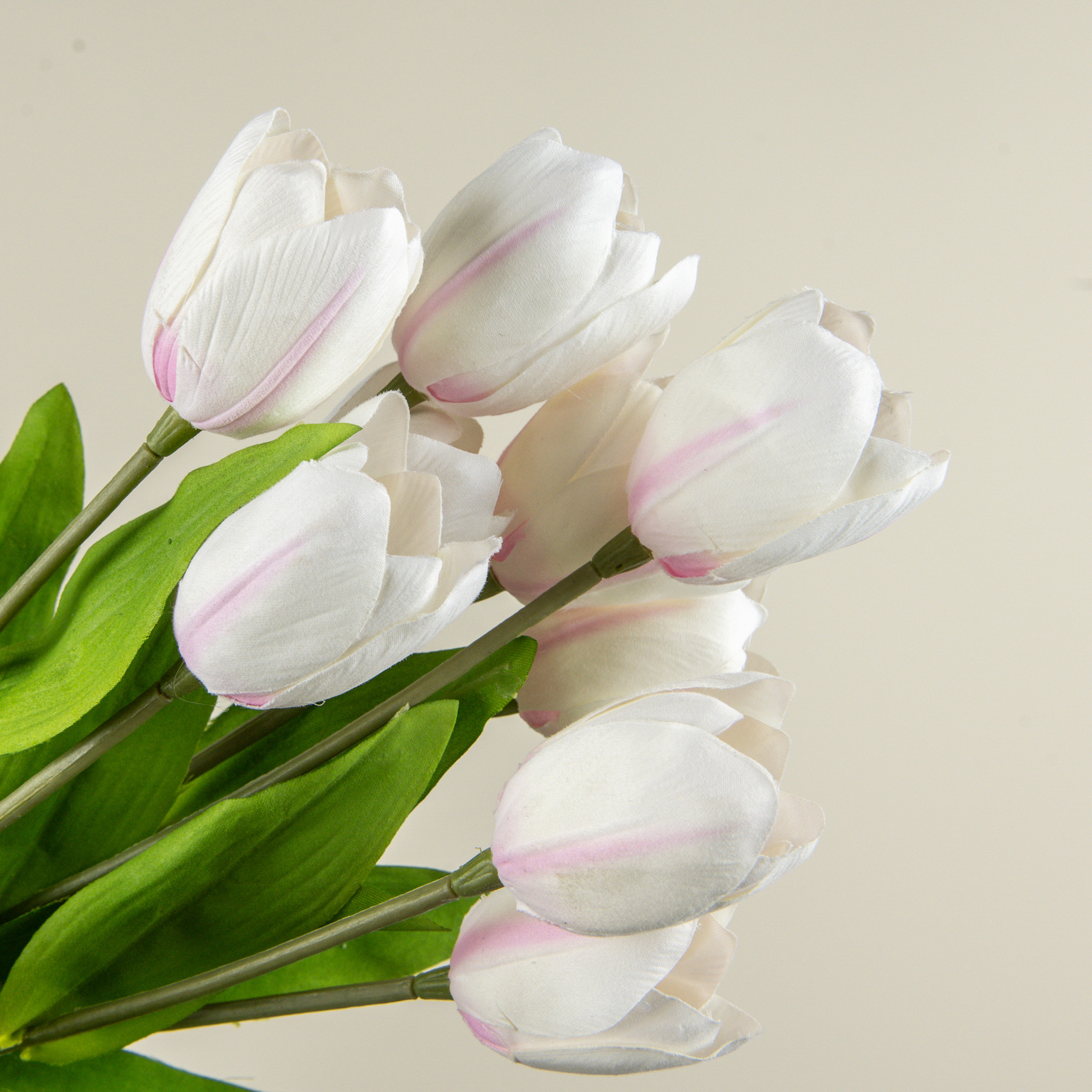 Cream & Pink Tulip Bush, 18.5", photo 2 of 3
