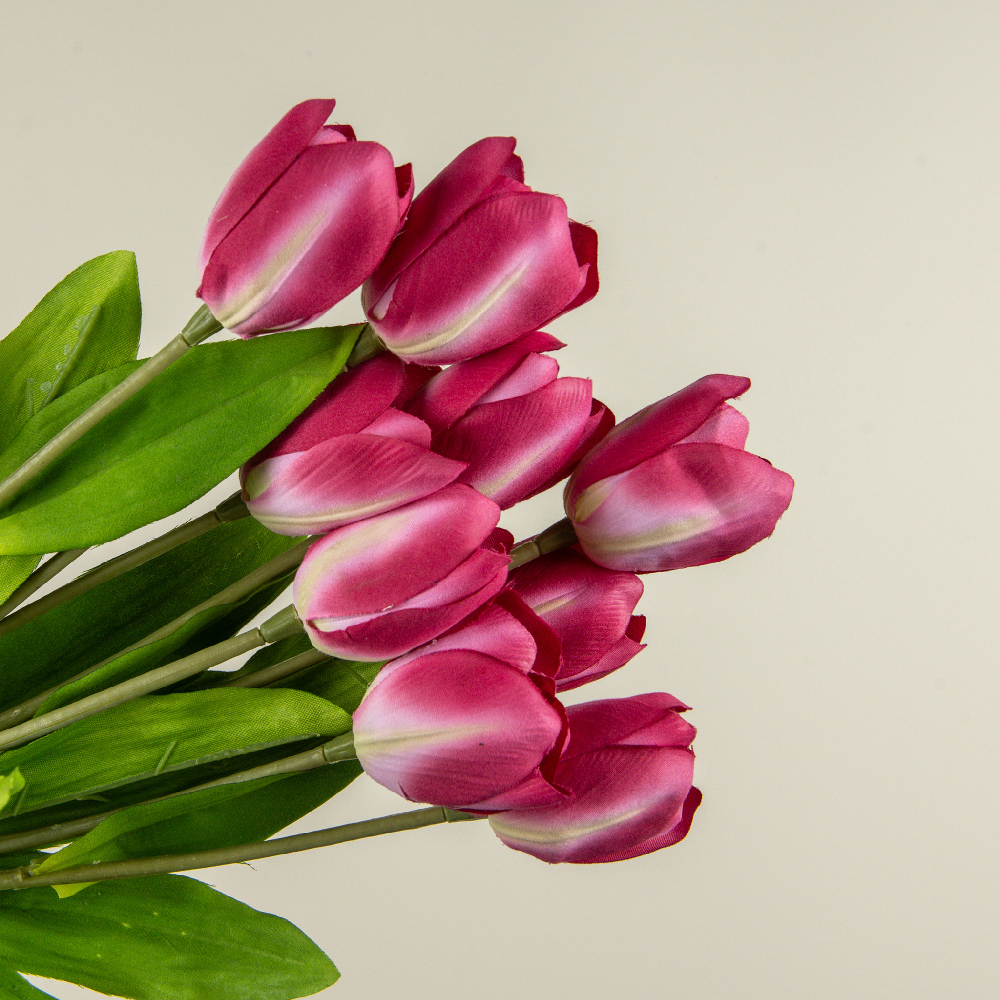 Dark Pink Tulip Bush, 18.5", photo 2 of 3
