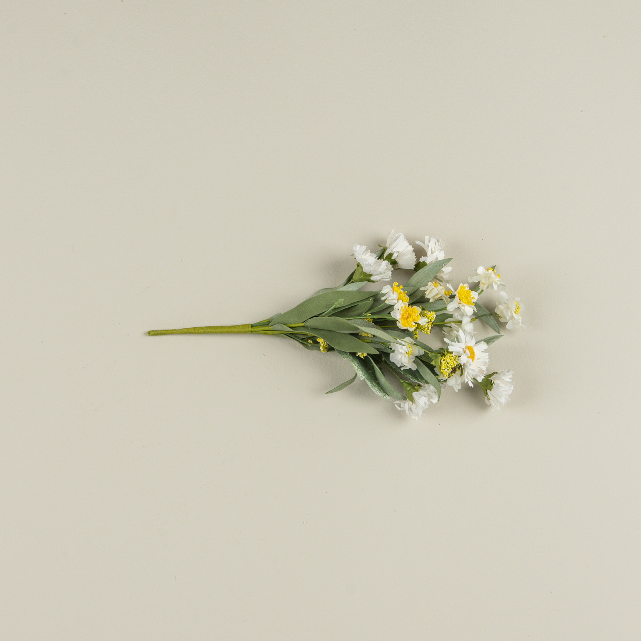 White Paper Daisy Bush, 12", photo 4 of 5