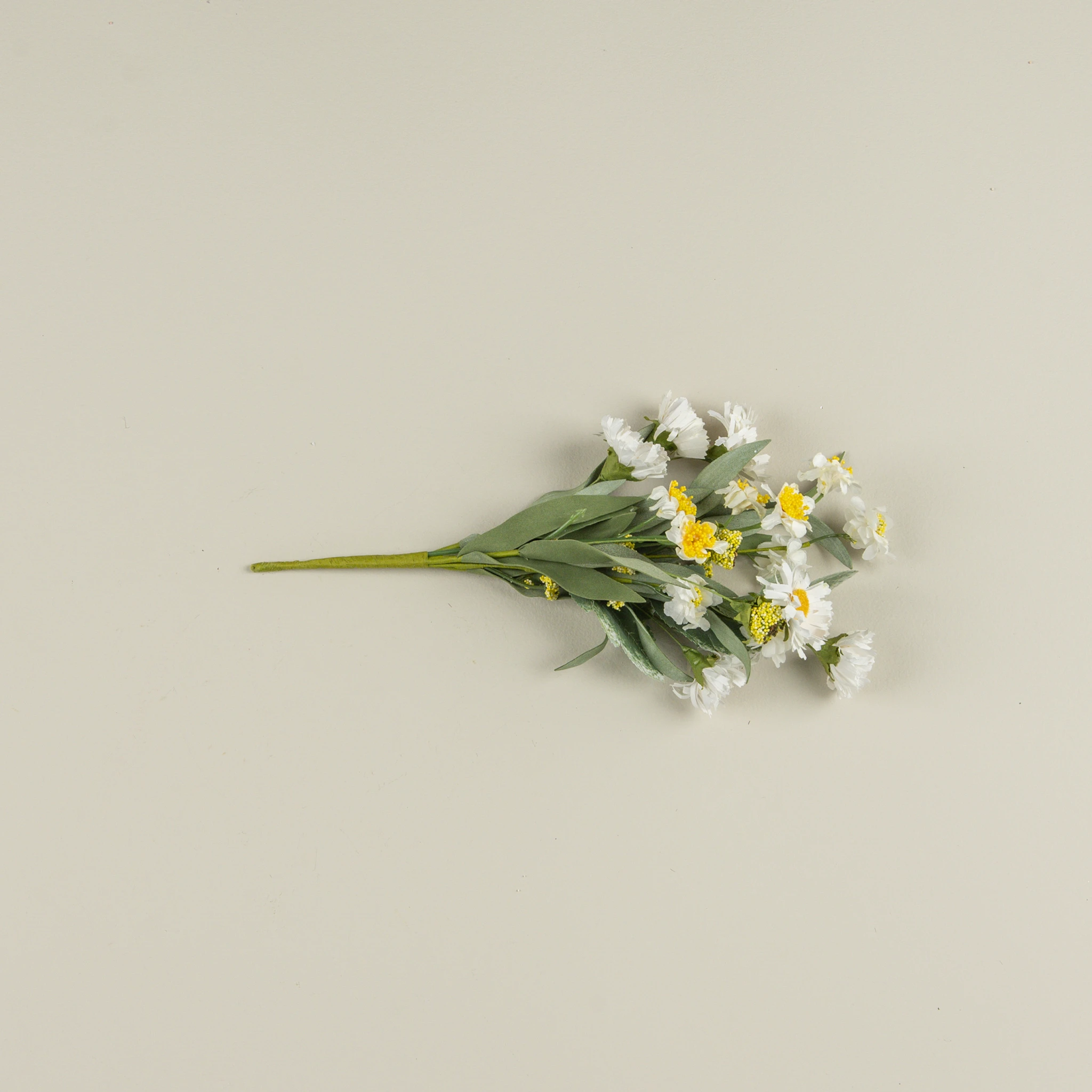 White Paper Daisy Bush, 12", photo 4 of 5