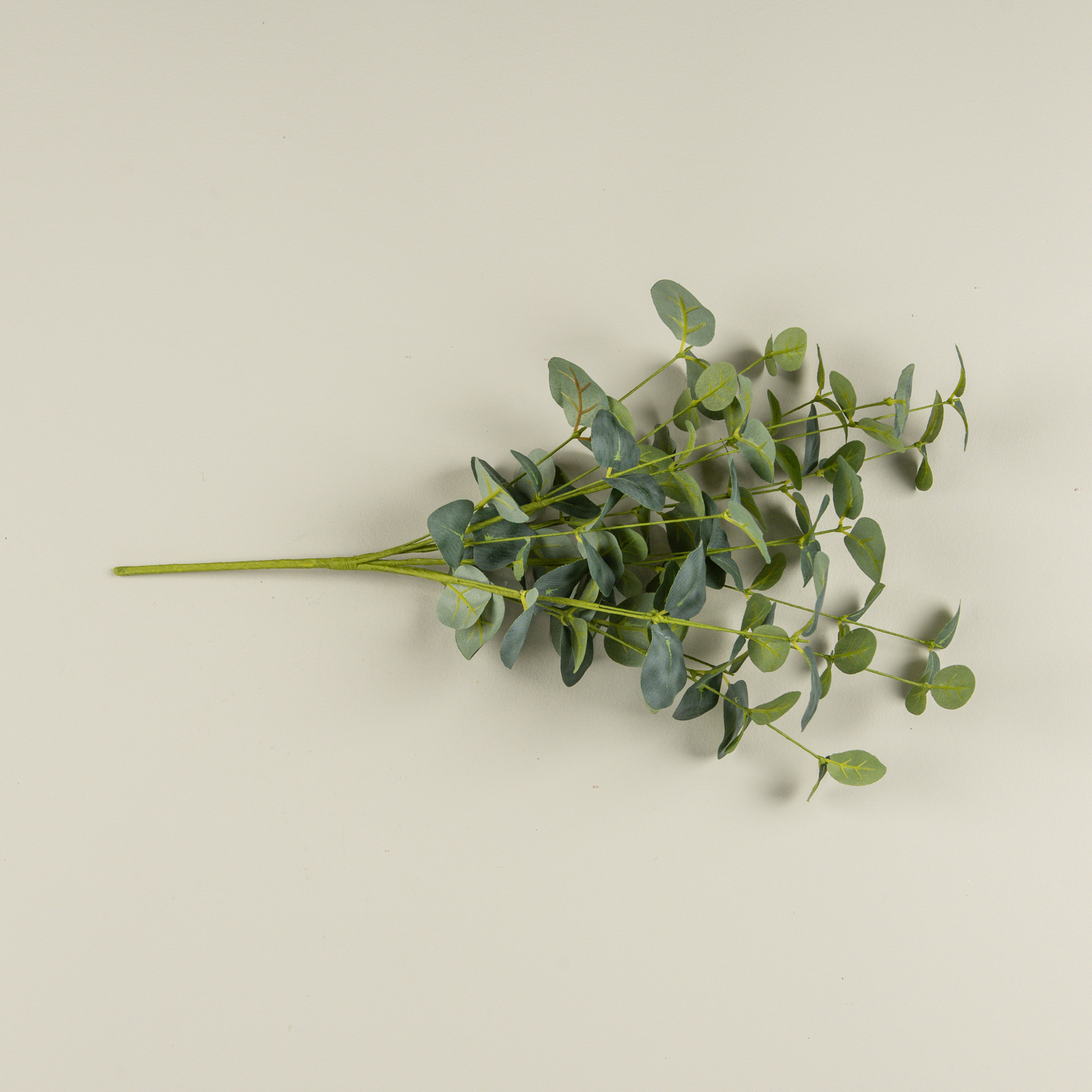 Dark Green Eucalyptus Bush, 20", photo 4 of 4