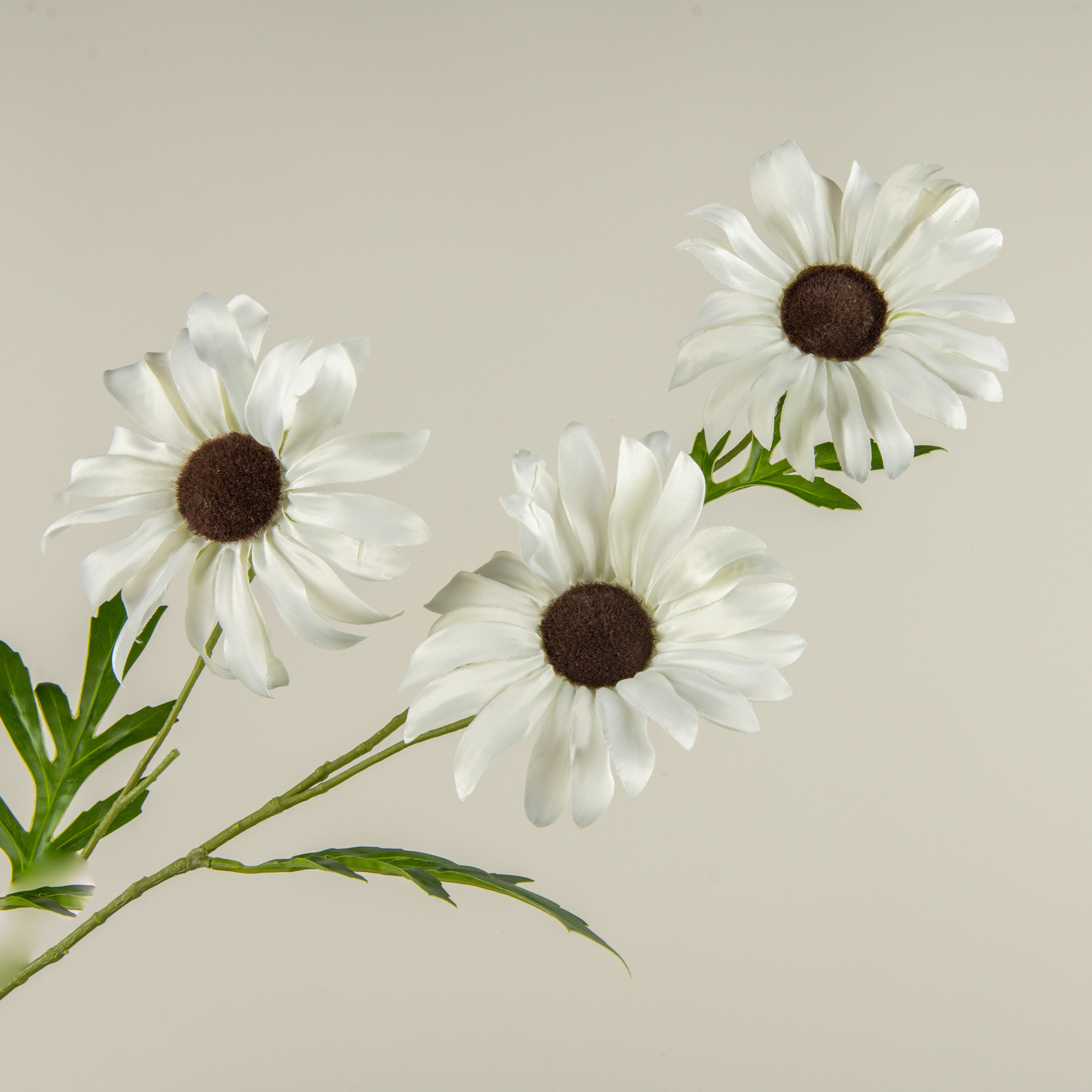 Cream Daisy Spray, 33", photo 3 of 4