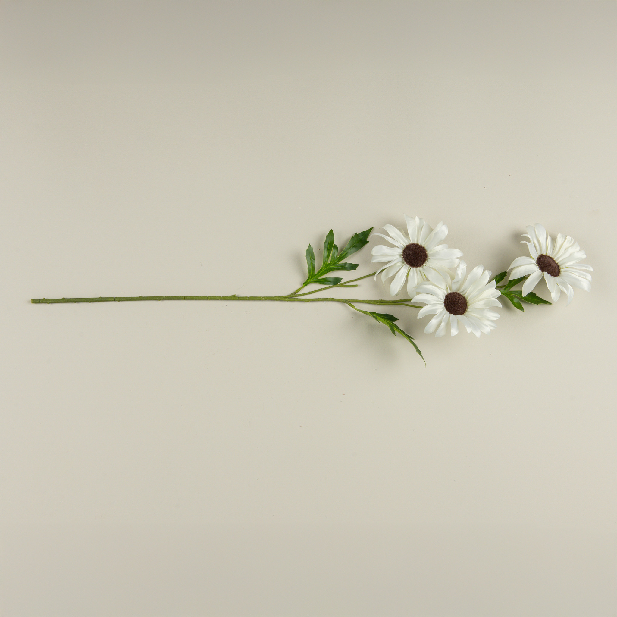Cream Daisy Spray, 33", photo 4 of 4