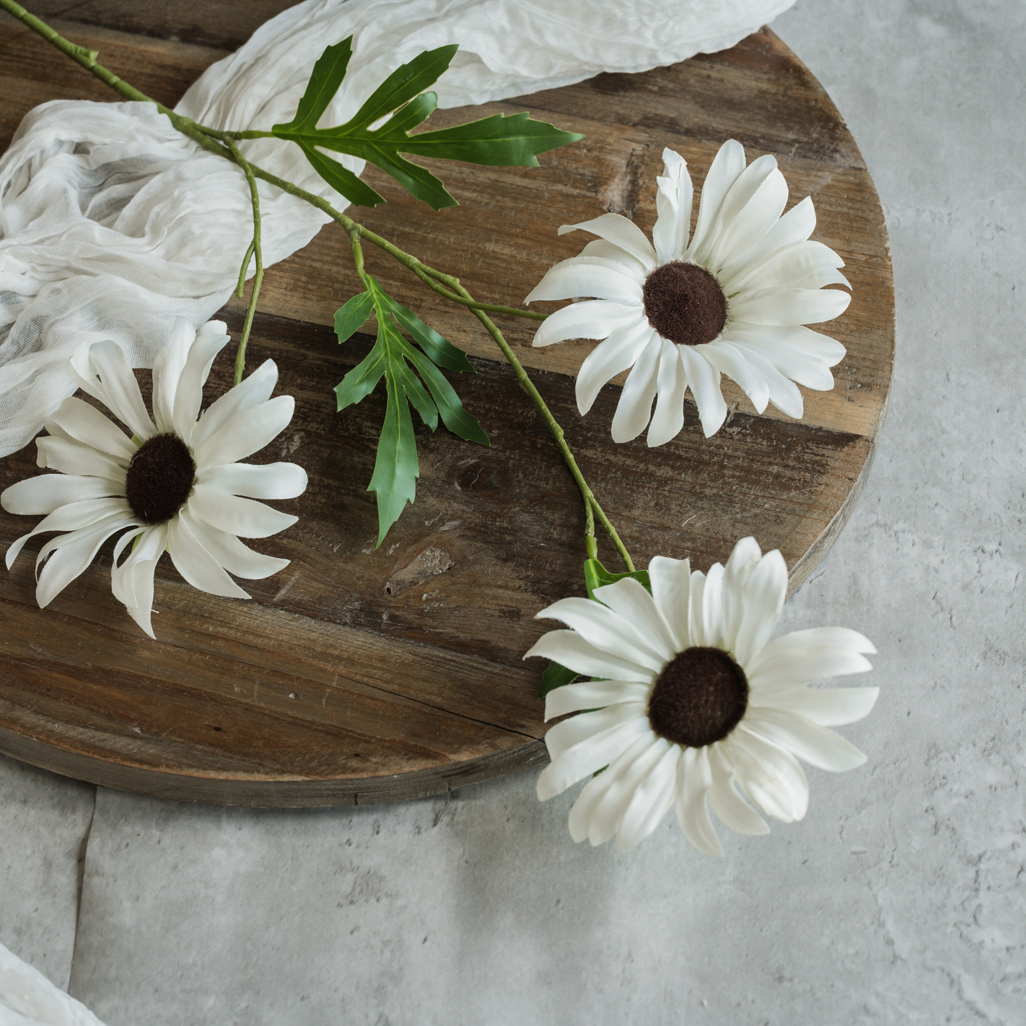 Cream Daisy Spray, 33"