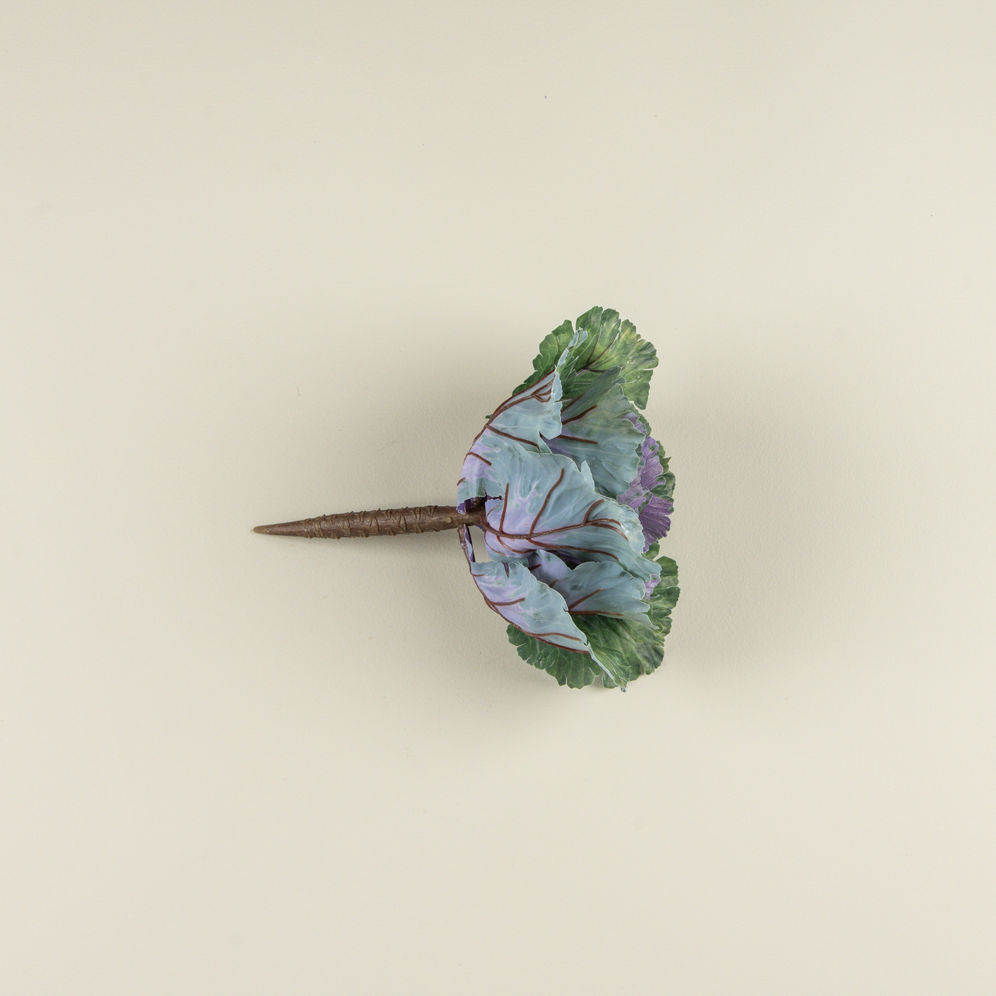 Green & Purple Cabbage Stem, 11", photo 3 of 3