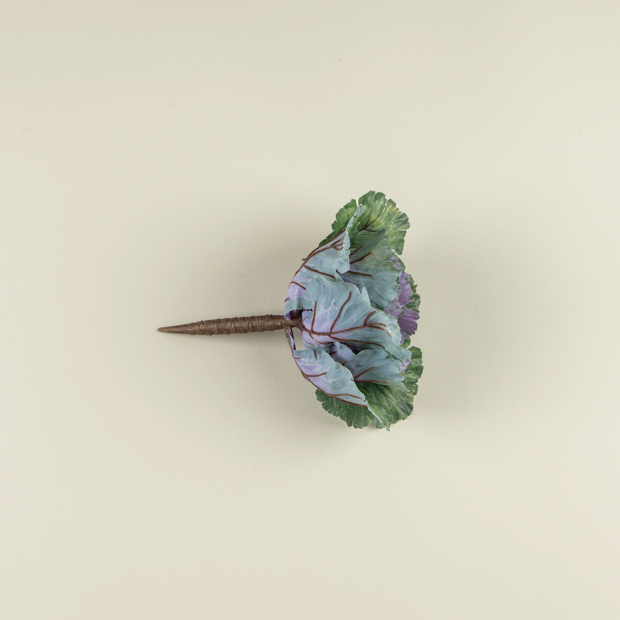 Green & Purple Cabbage Stem, 11", photo 3 of 3