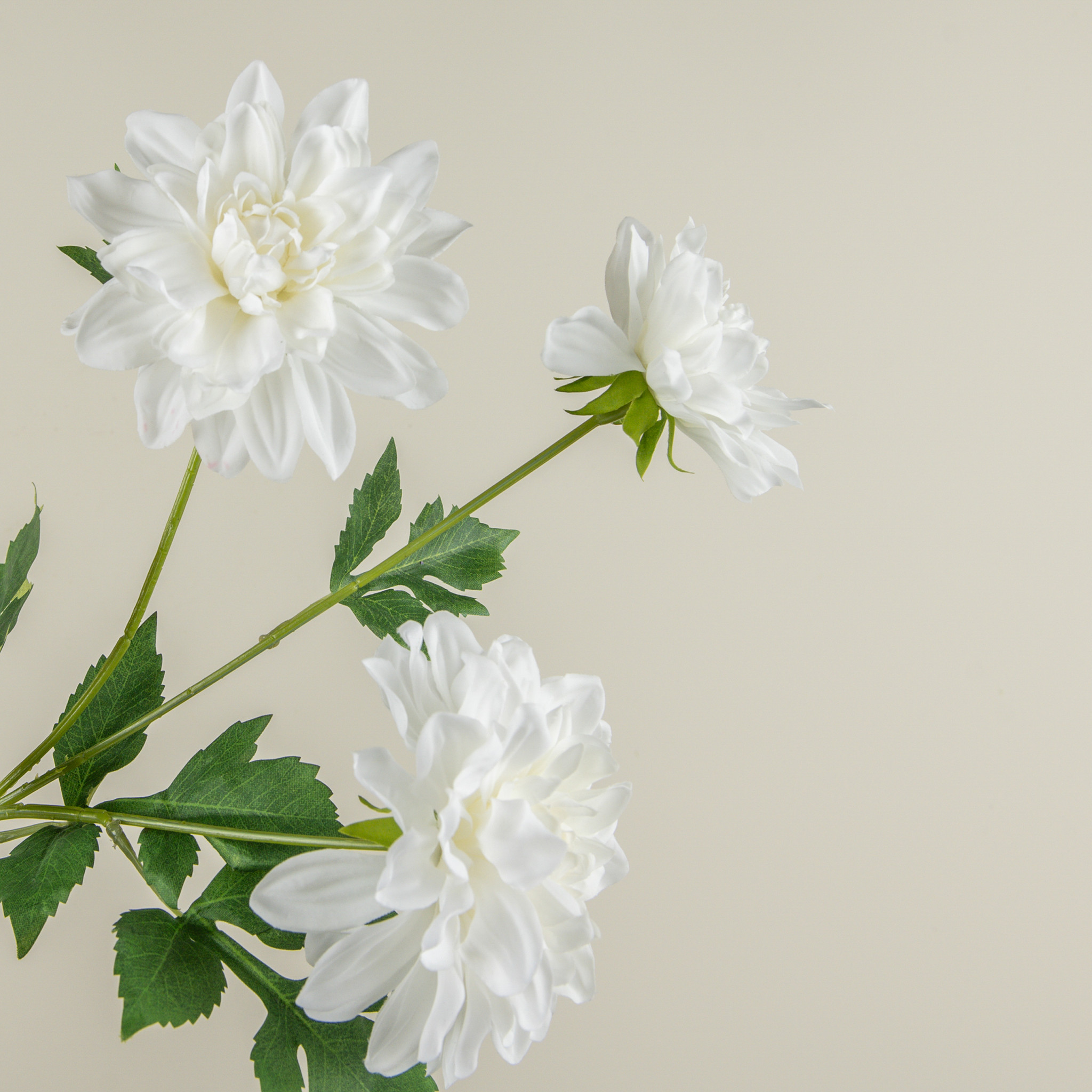 White Dahlia Spray, 25.5", photo 3 of 4