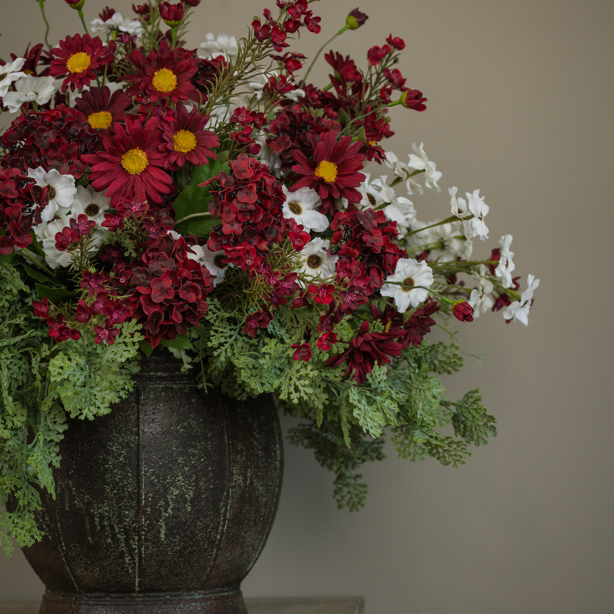 Crown Daisy Leaf Bush, 16", photo 5 of 5