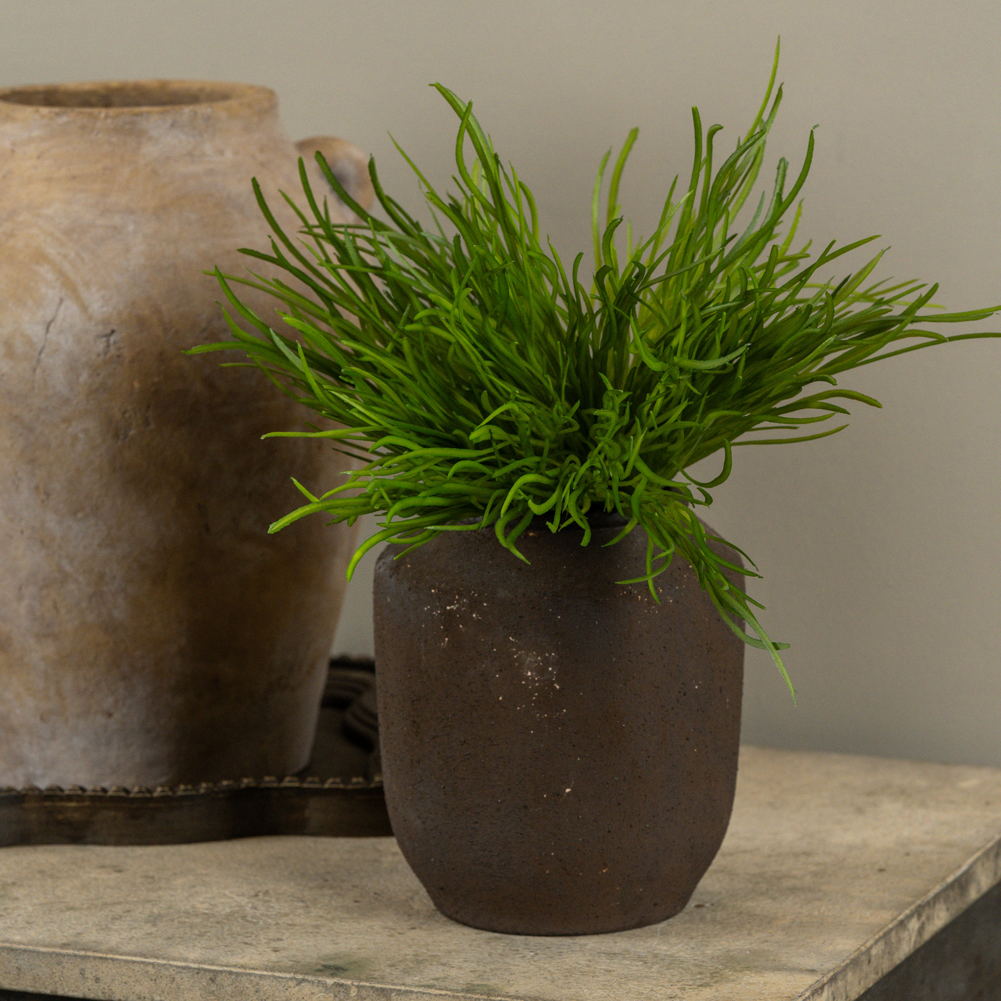 Grass Bush, 13", photo 2 of 5