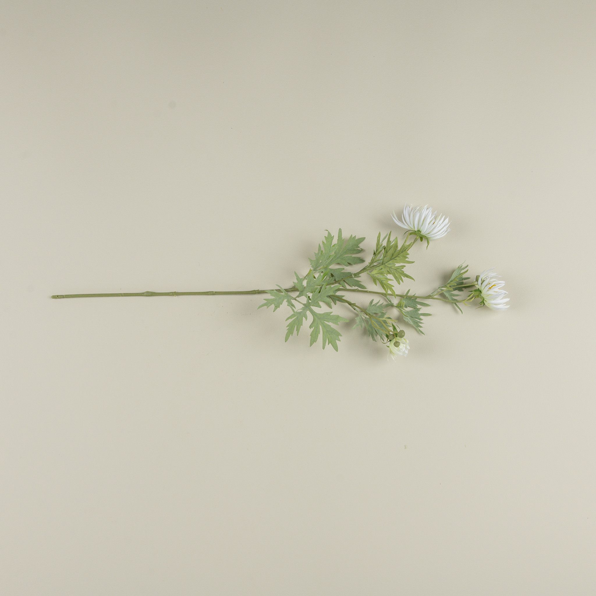 Cream Aster Spray, 27", photo 3 of 3