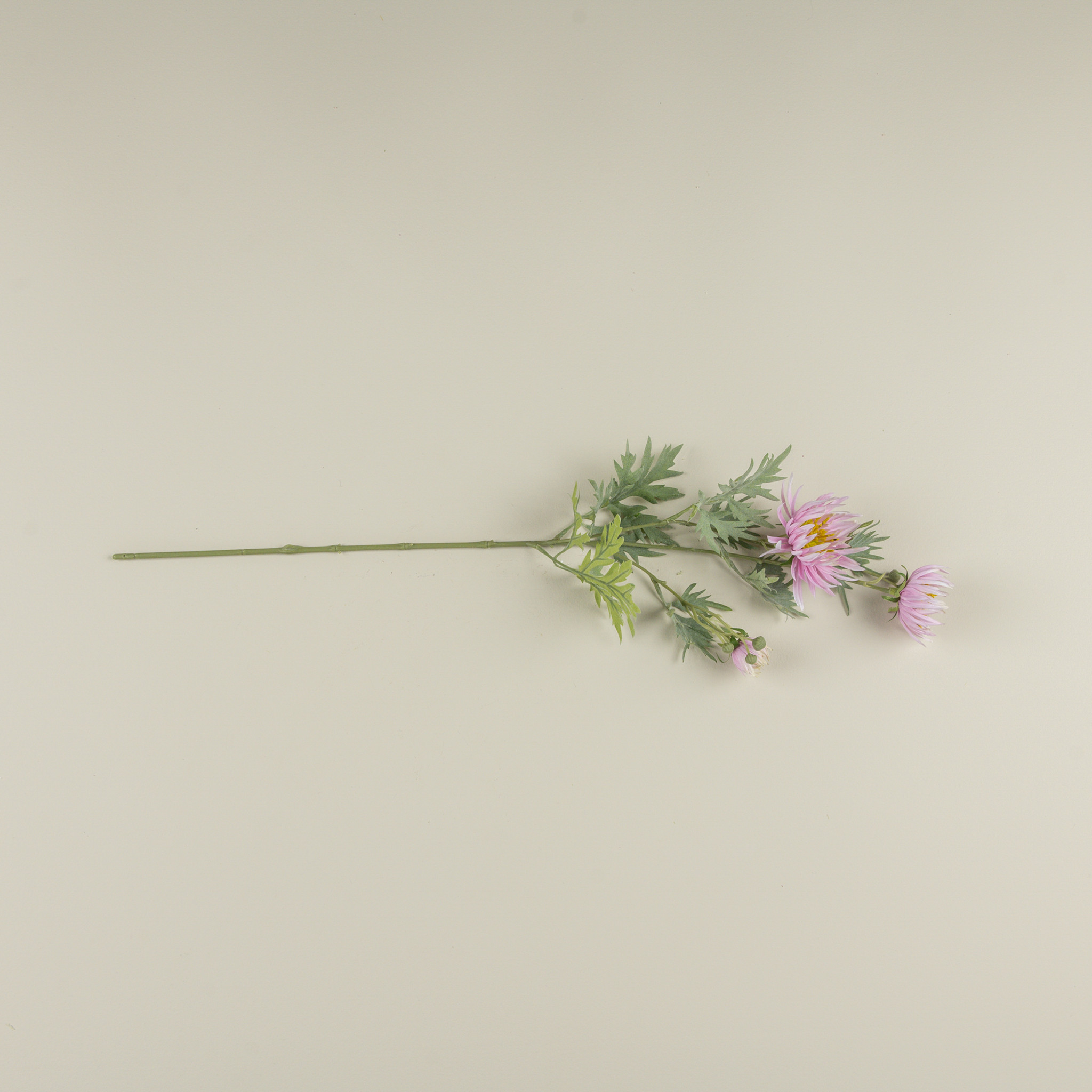 Pink Aster Spray, 27", photo 2 of 2