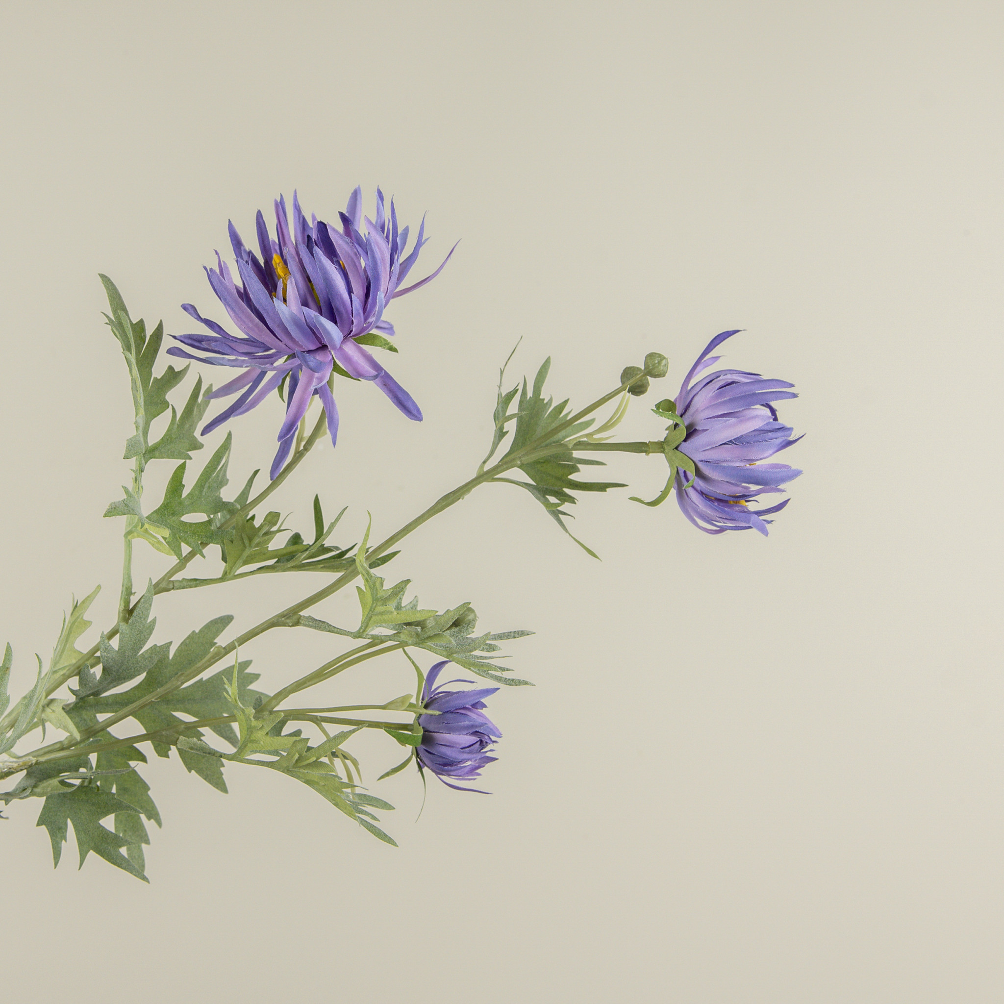 Purple Aster Spray, 27", photo 2 of 3