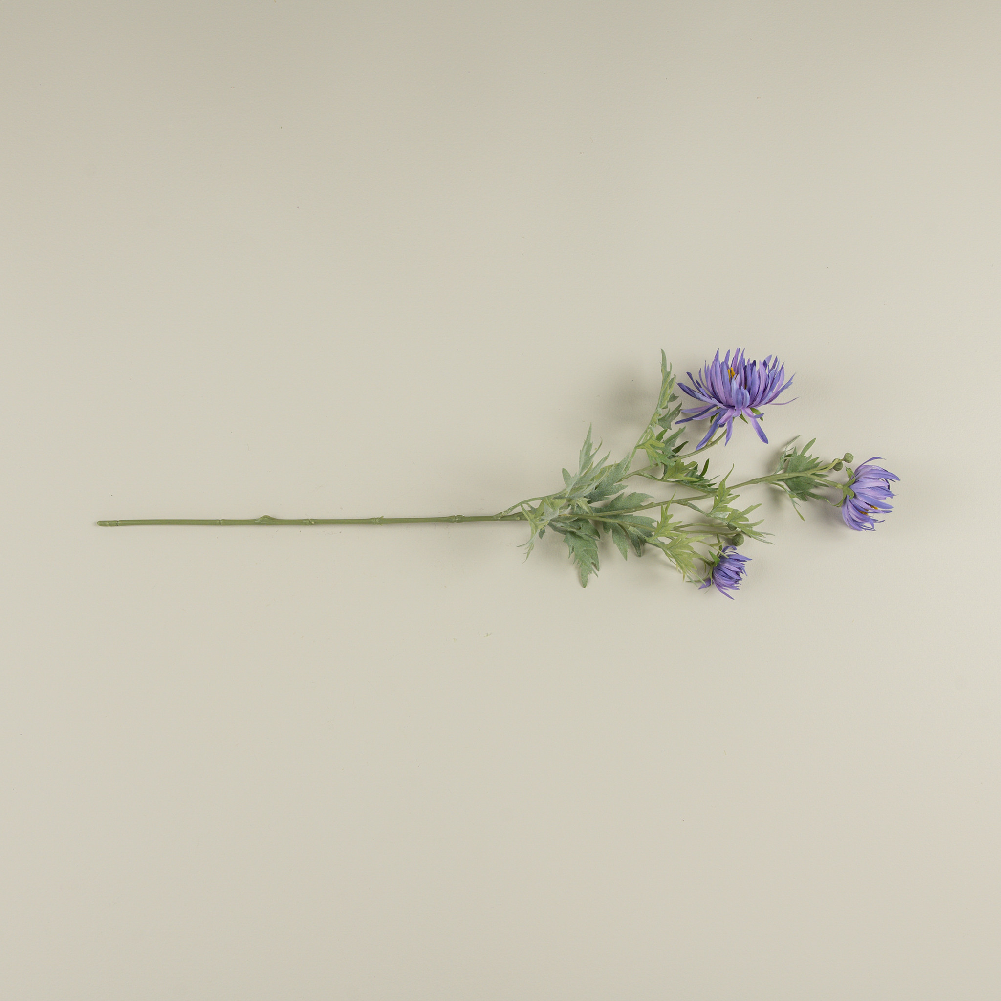 Purple Aster Spray, 27", photo 3 of 3