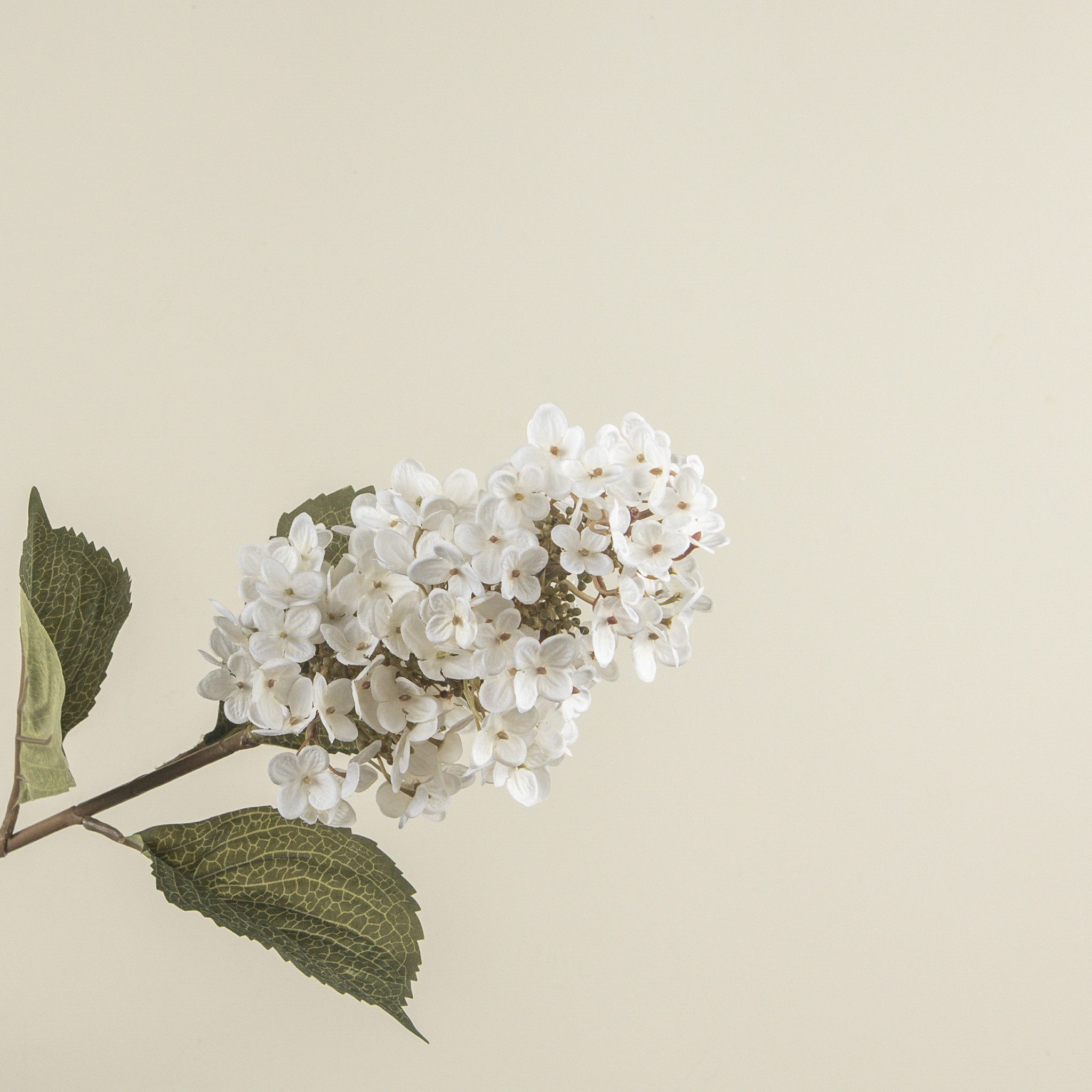 White Lilac Stem, 32.5", photo 5 of 6
