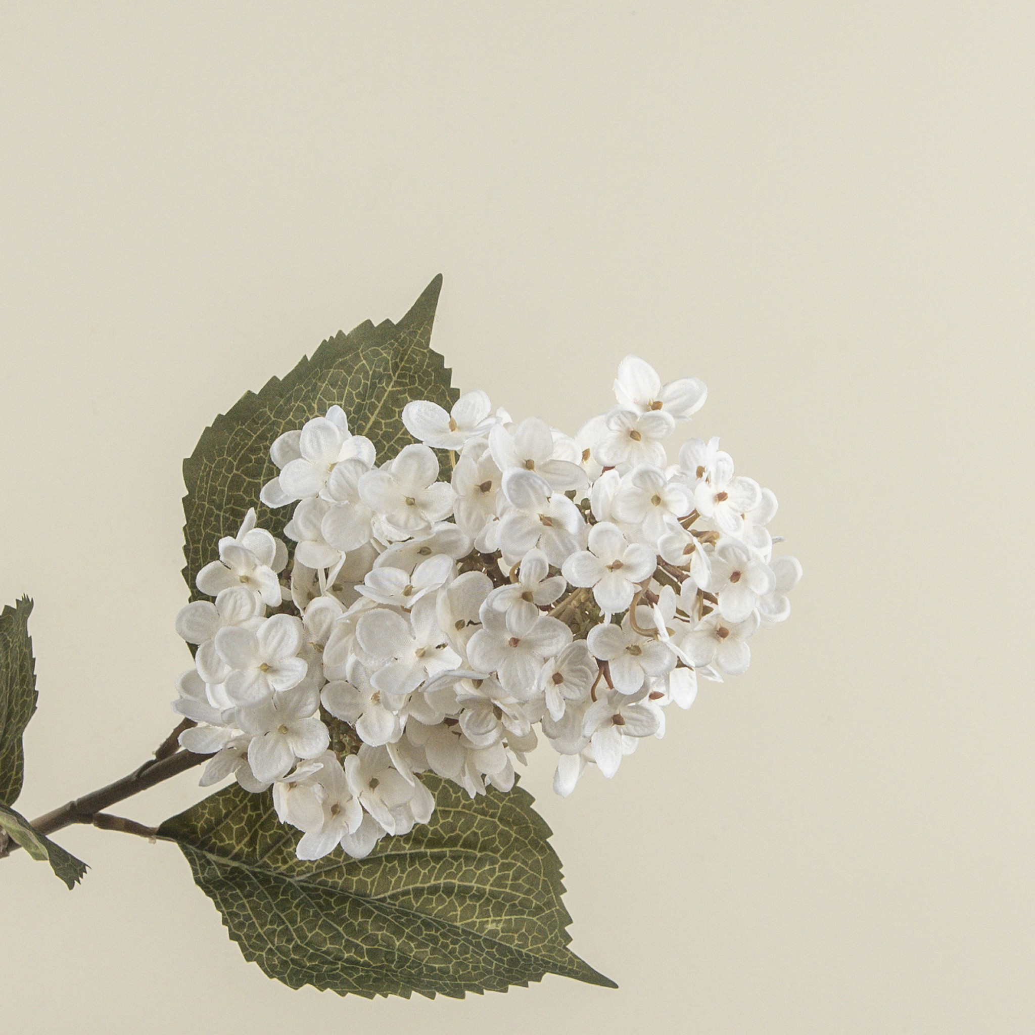 White Lilac Stem, 32.5", photo 6 of 6