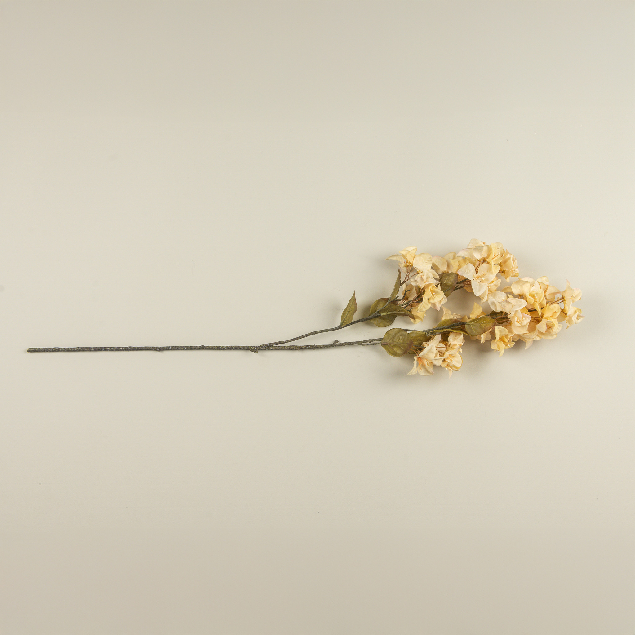 Buttermilk Azalea Stem, 42", photo 3 of 4