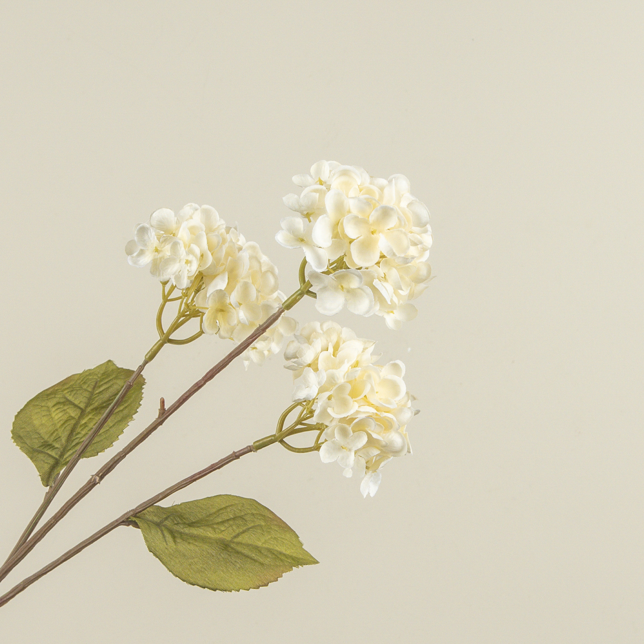 Pale Yellow Hydrangea Stem, 27.5", photo 3 of 4
