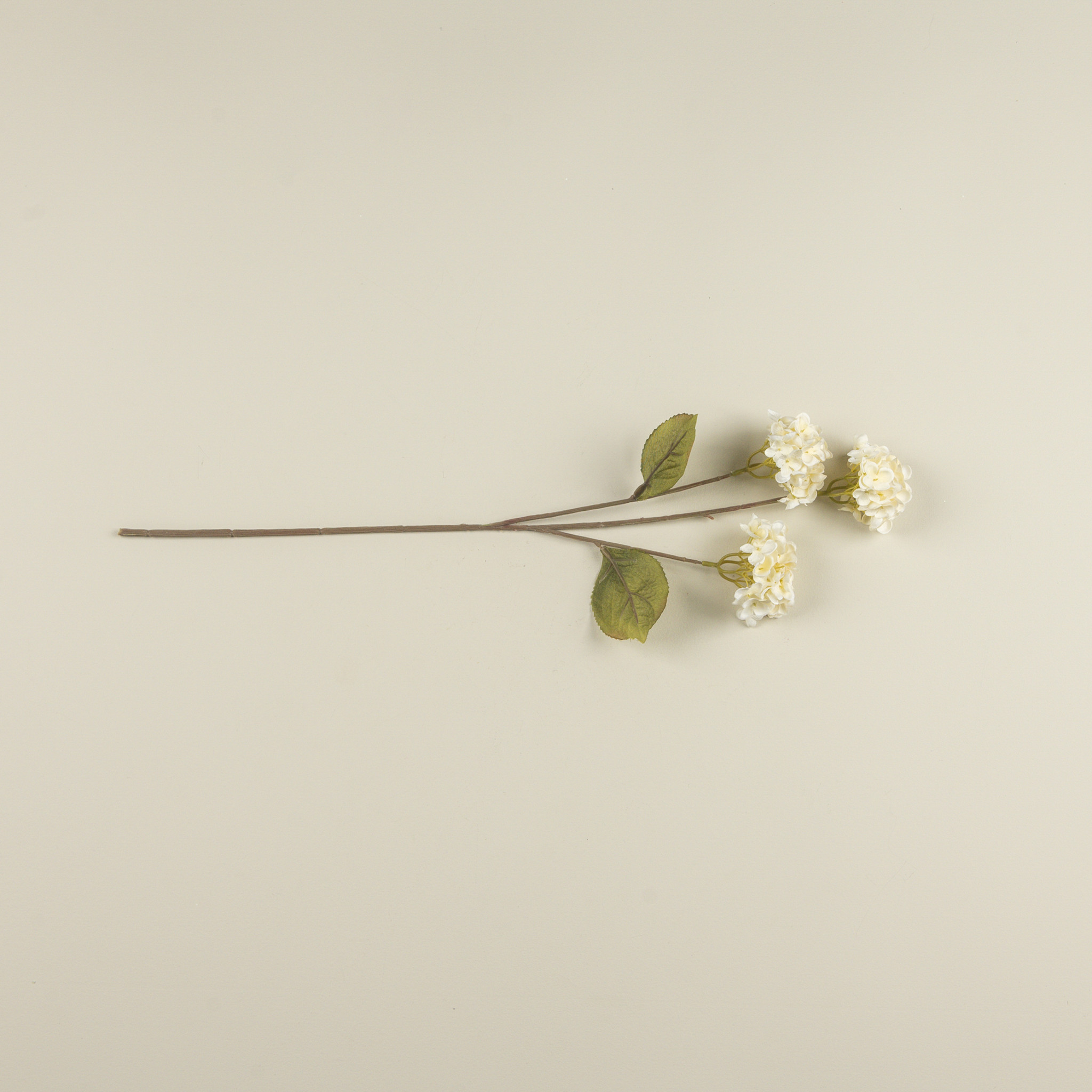 Pale Yellow Hydrangea Stem, 27.5", photo 4 of 4
