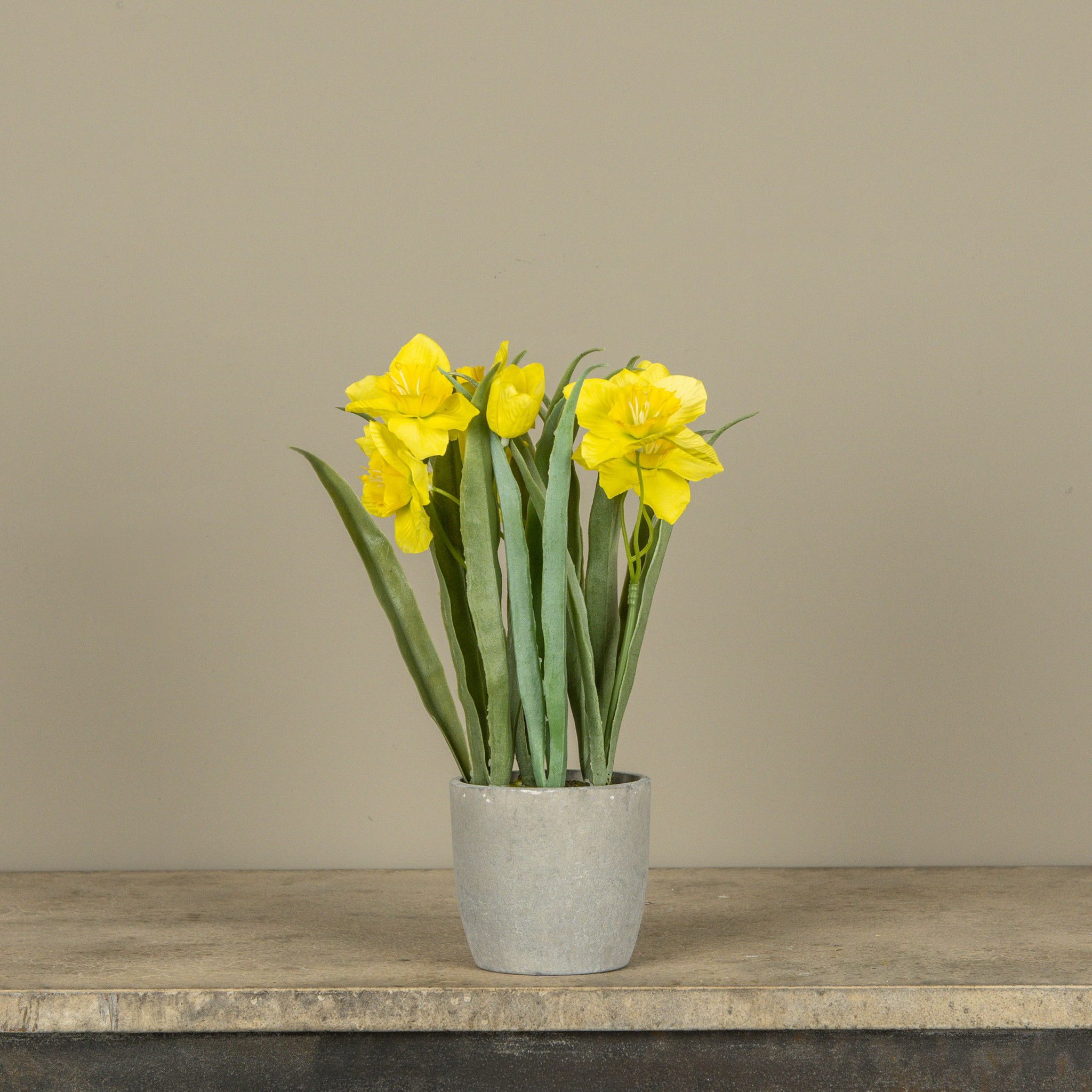 Yellow Potted Daffodil, 12"