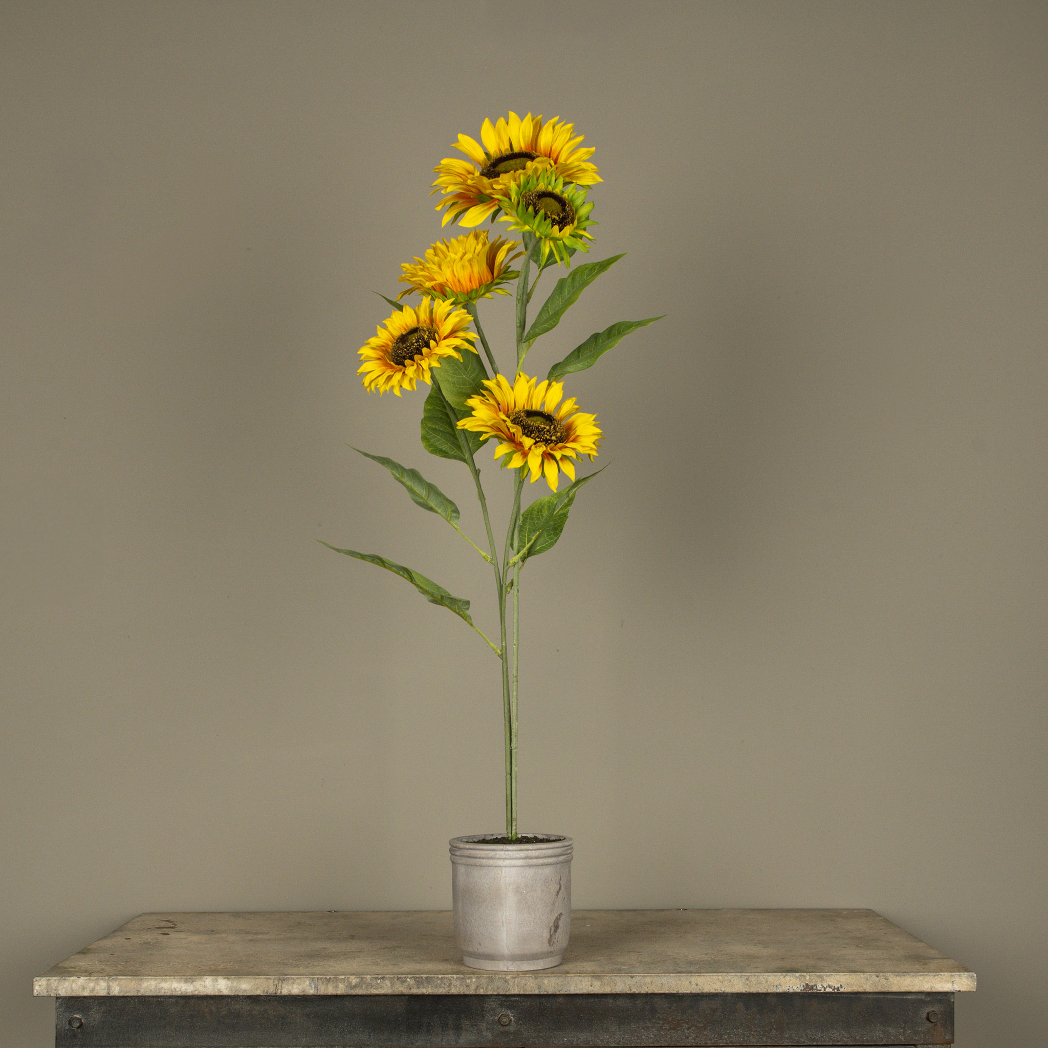 Yellow Potted Sunflower, 36.25"